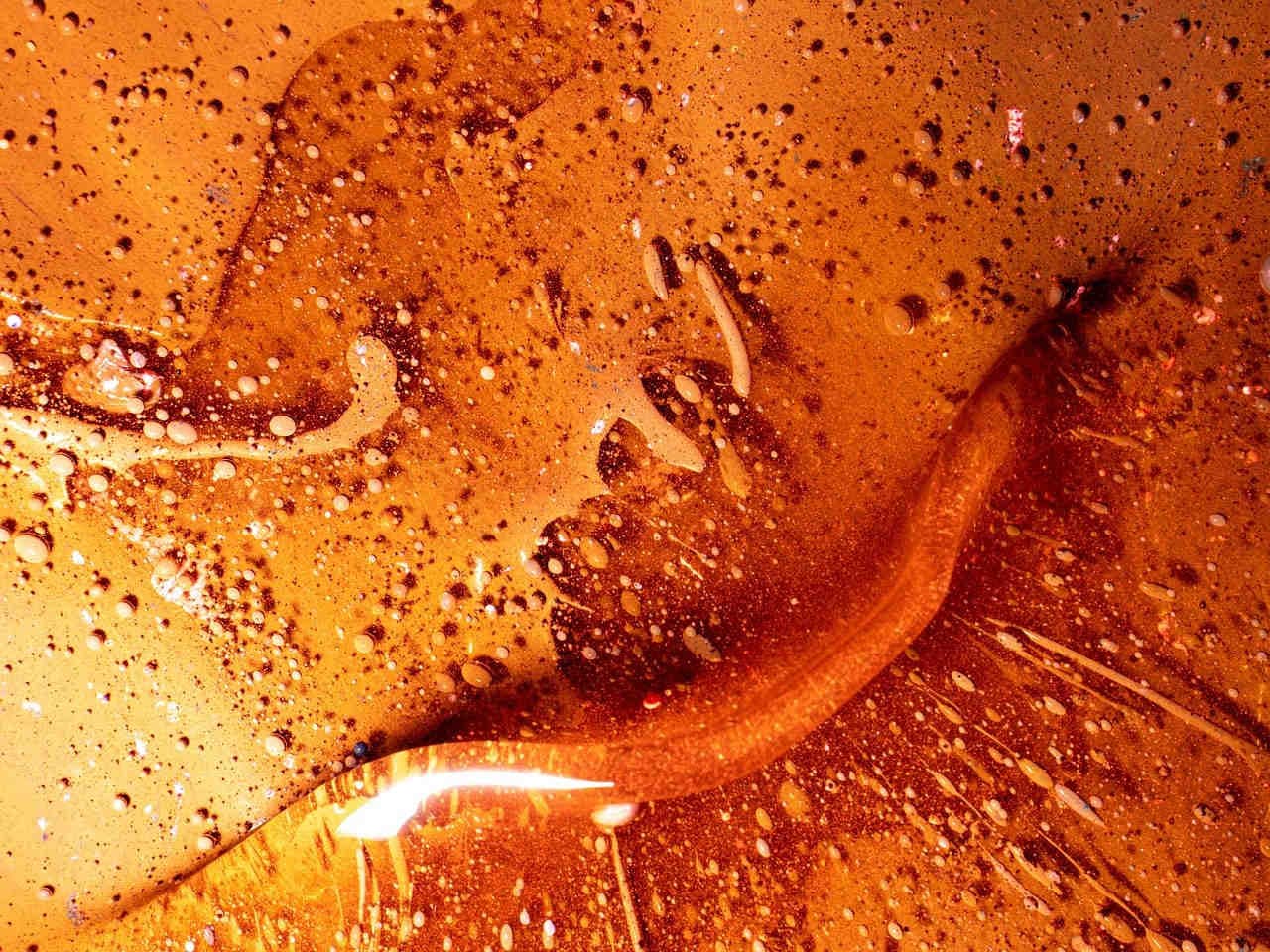 Miel de brezo: características y propiedades