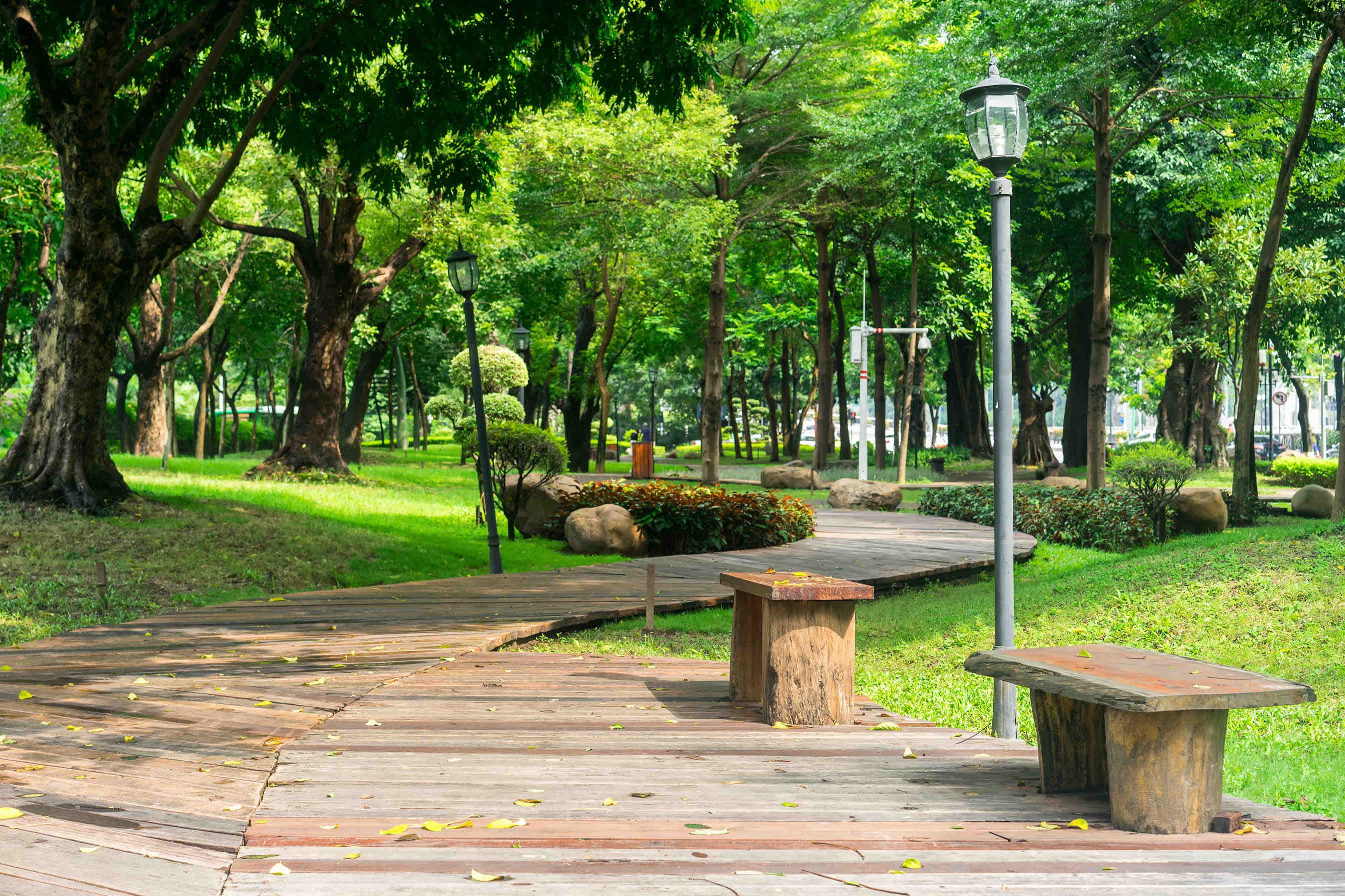 città parco verde