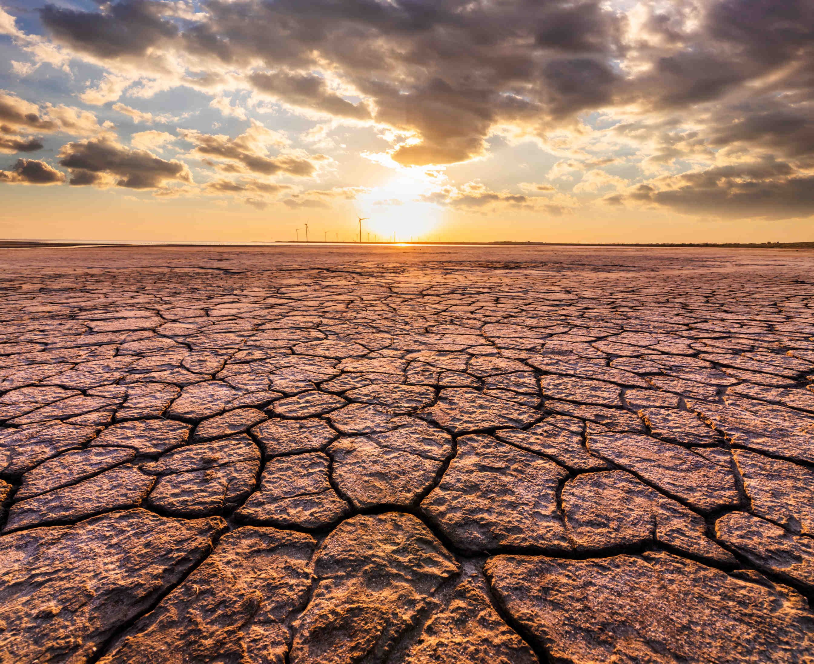 deserto