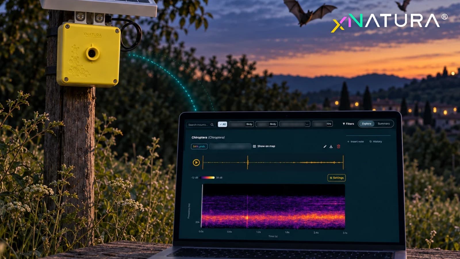 Il sensore Kiro di XNatura su un palo al tramonto e un pipistrello rilevato sulla piattaforma