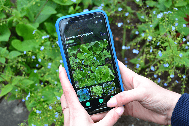 app 3Bee Biodiversa