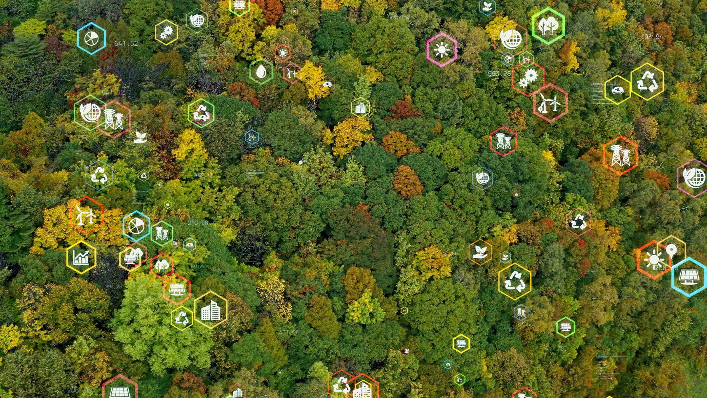 Sustainability Reporting: Evaluation Standards
