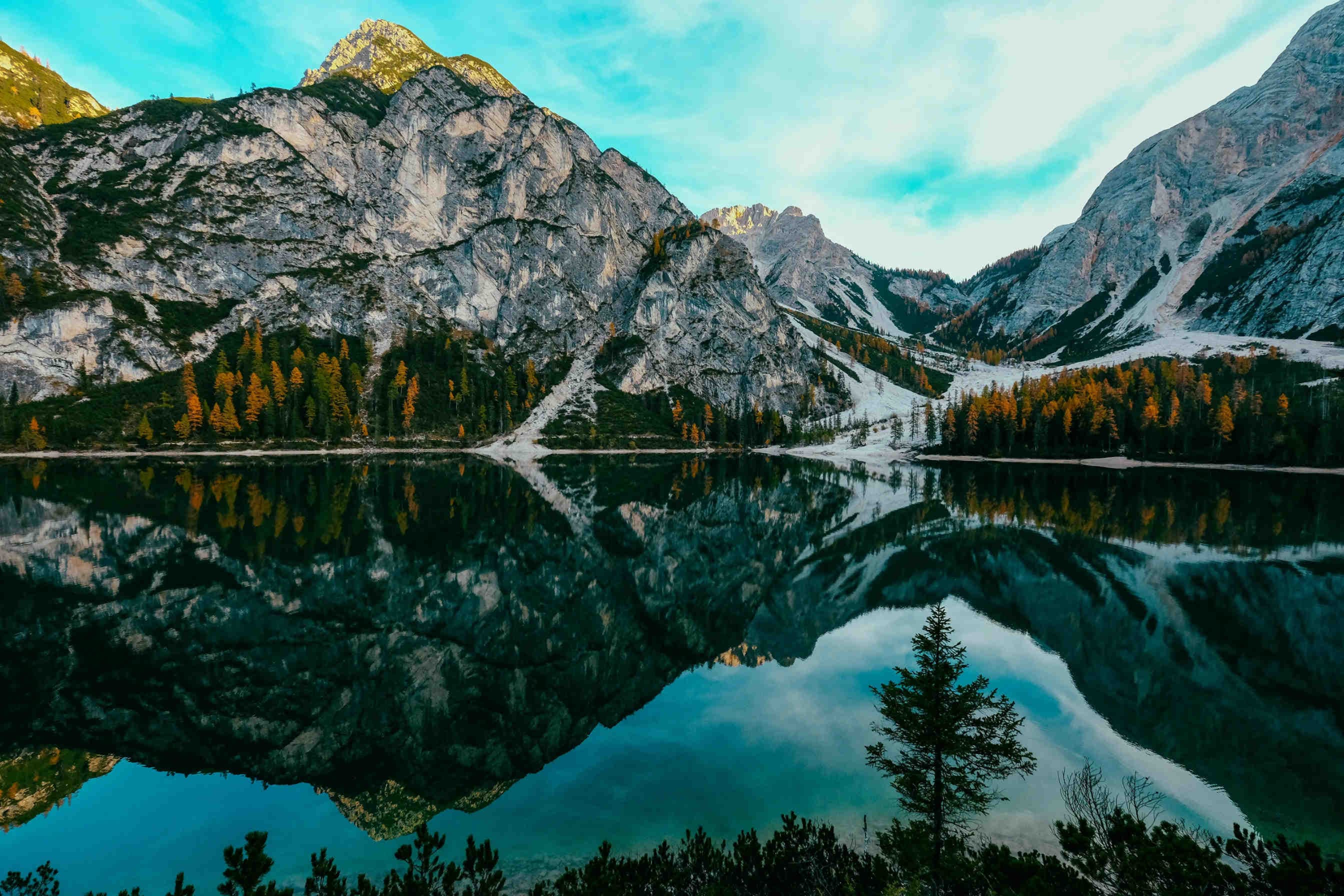 Il 3 marzo è la Giornata Mondiale della Natura