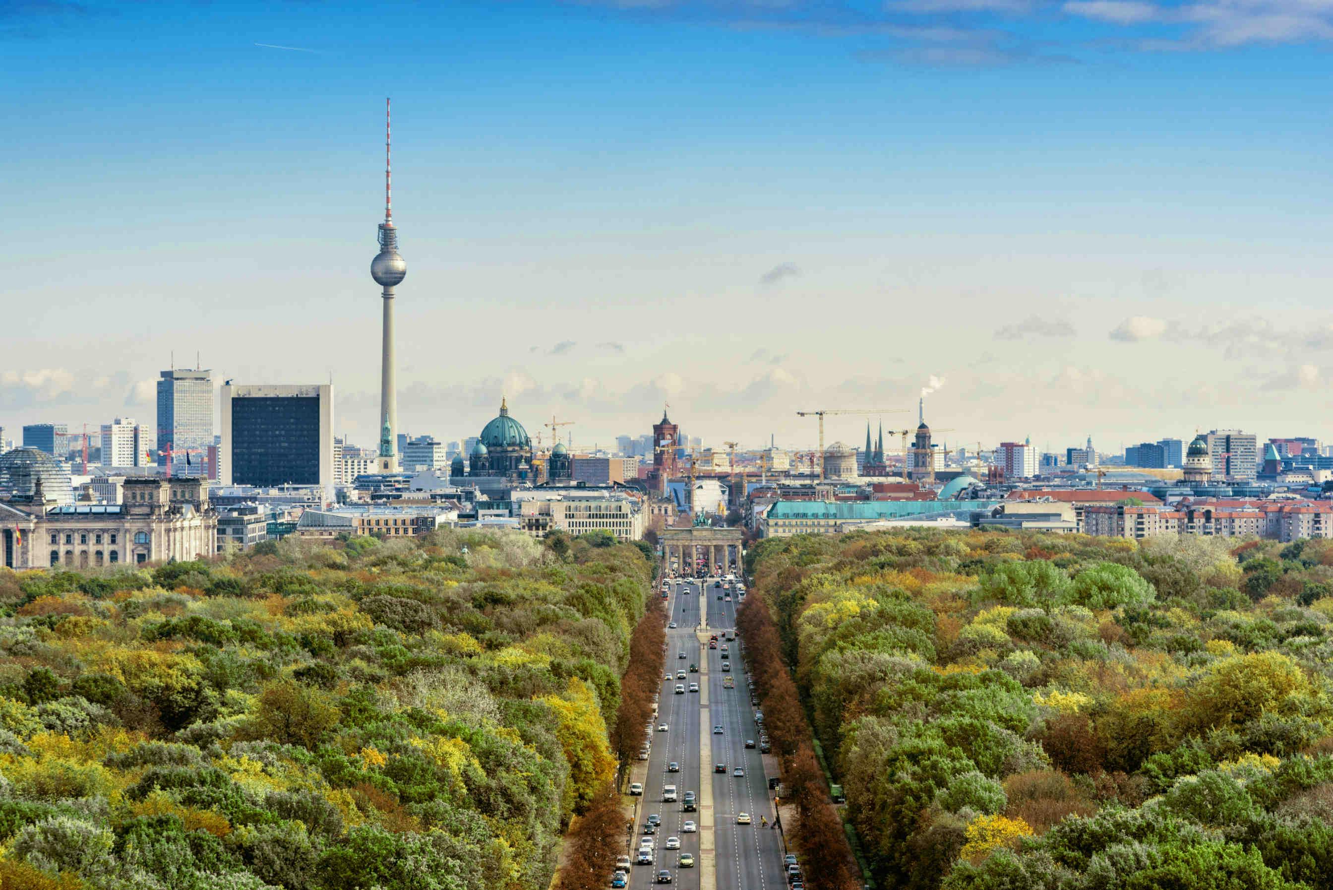 Berlin's Buzzing Biodiversity: Strategies for a Greener City