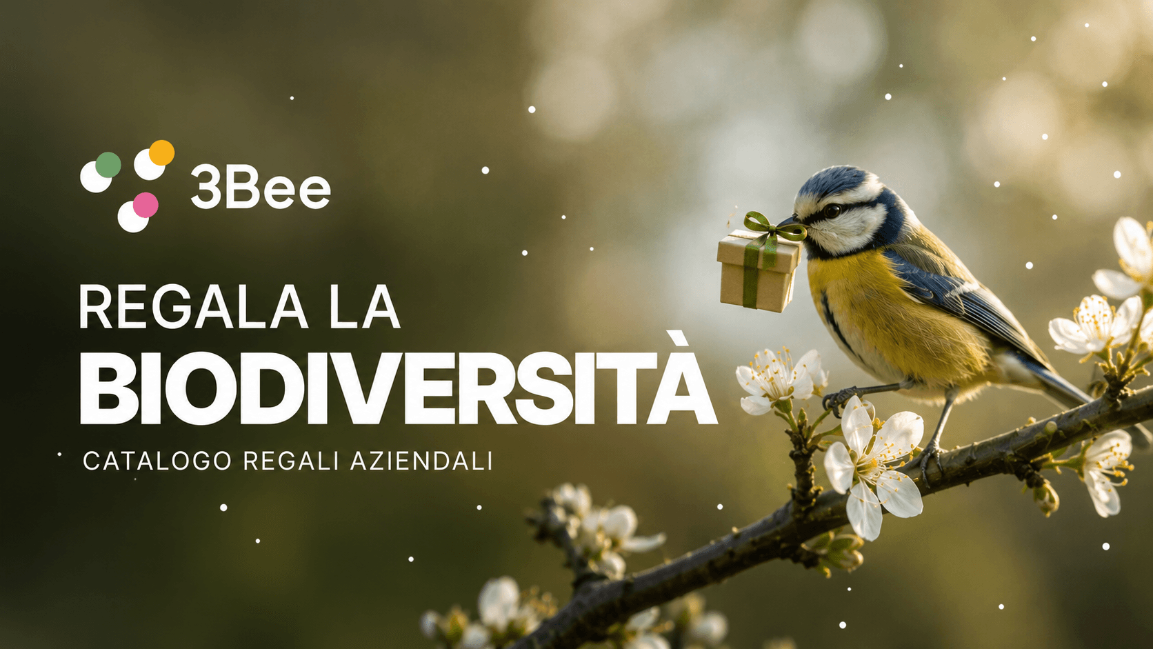 Cadeaux d'entreprise durables : un morceau de nature que vous pouvez regarder grandir