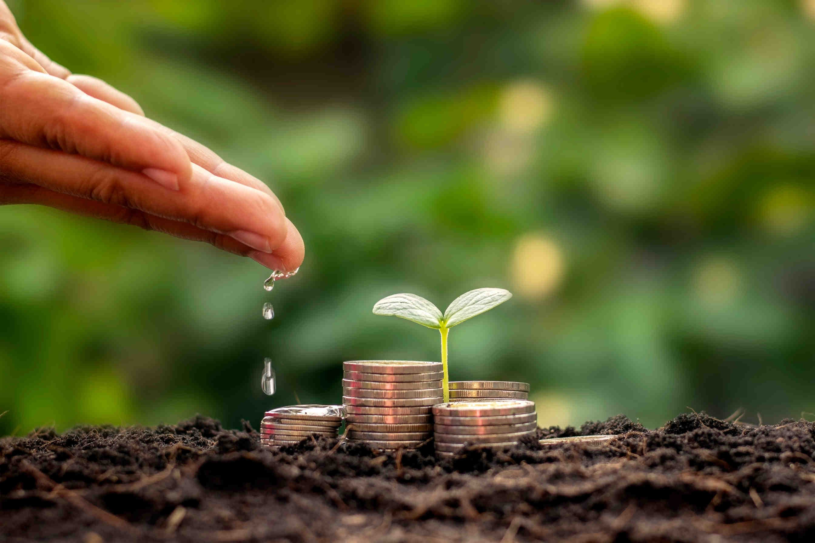 Le rôle des entreprises pour le droit à l'alimentation
