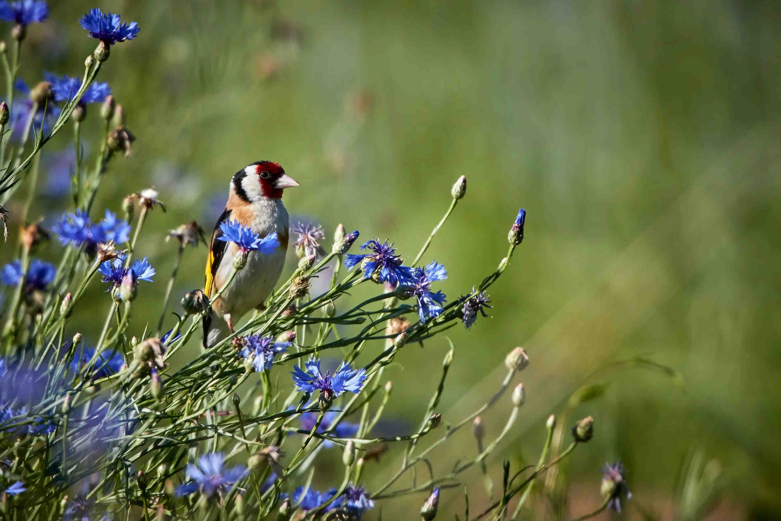 3bee-blog-perche-e-importante-celebrarla