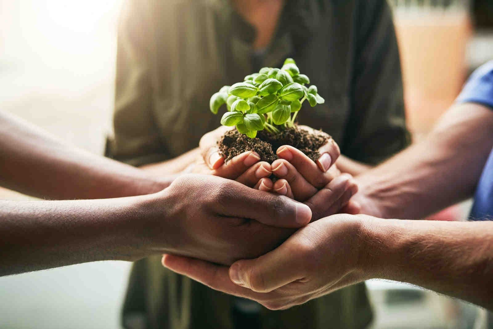 Una collaborazione globale per un futuro sostenibile