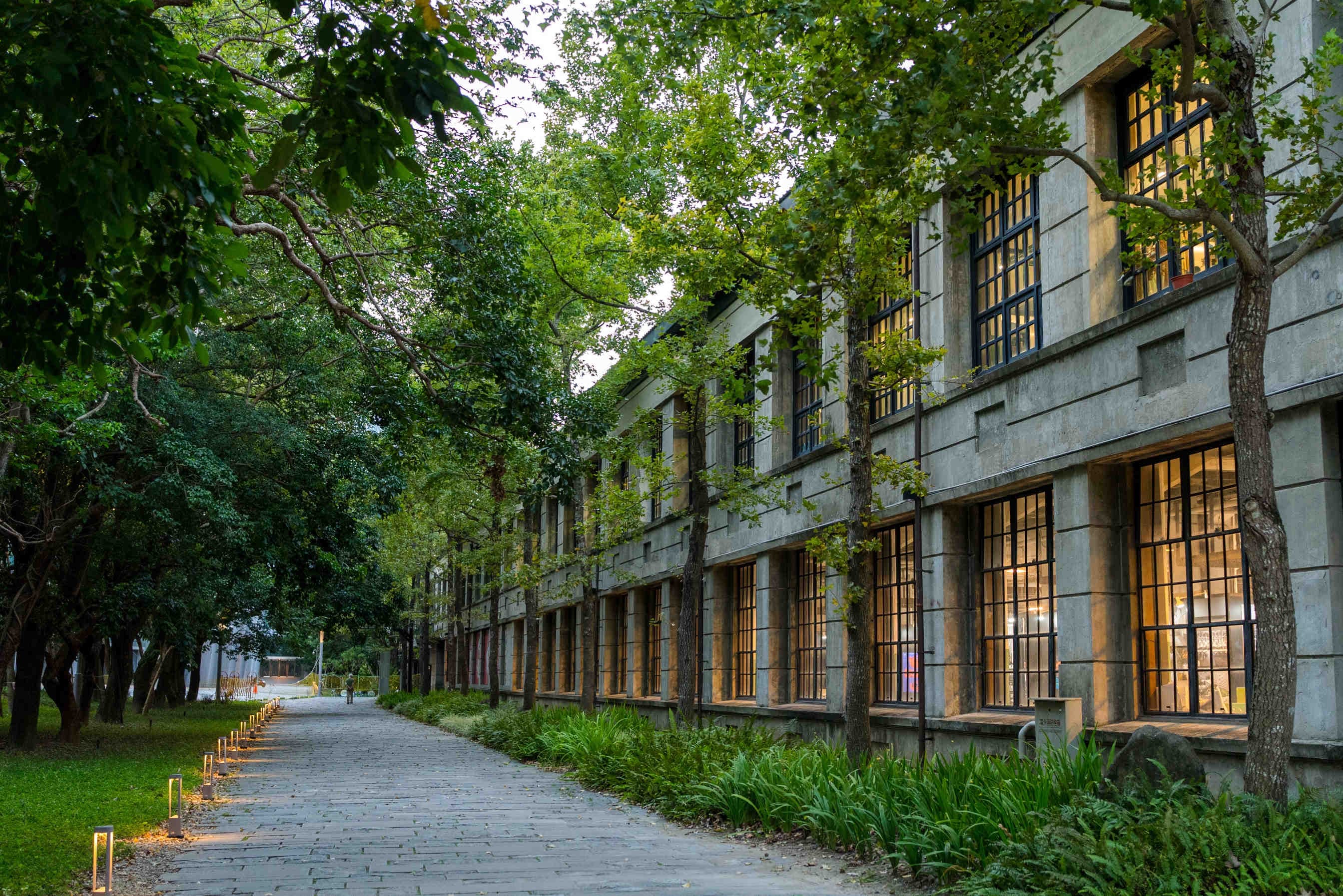 viale alberato