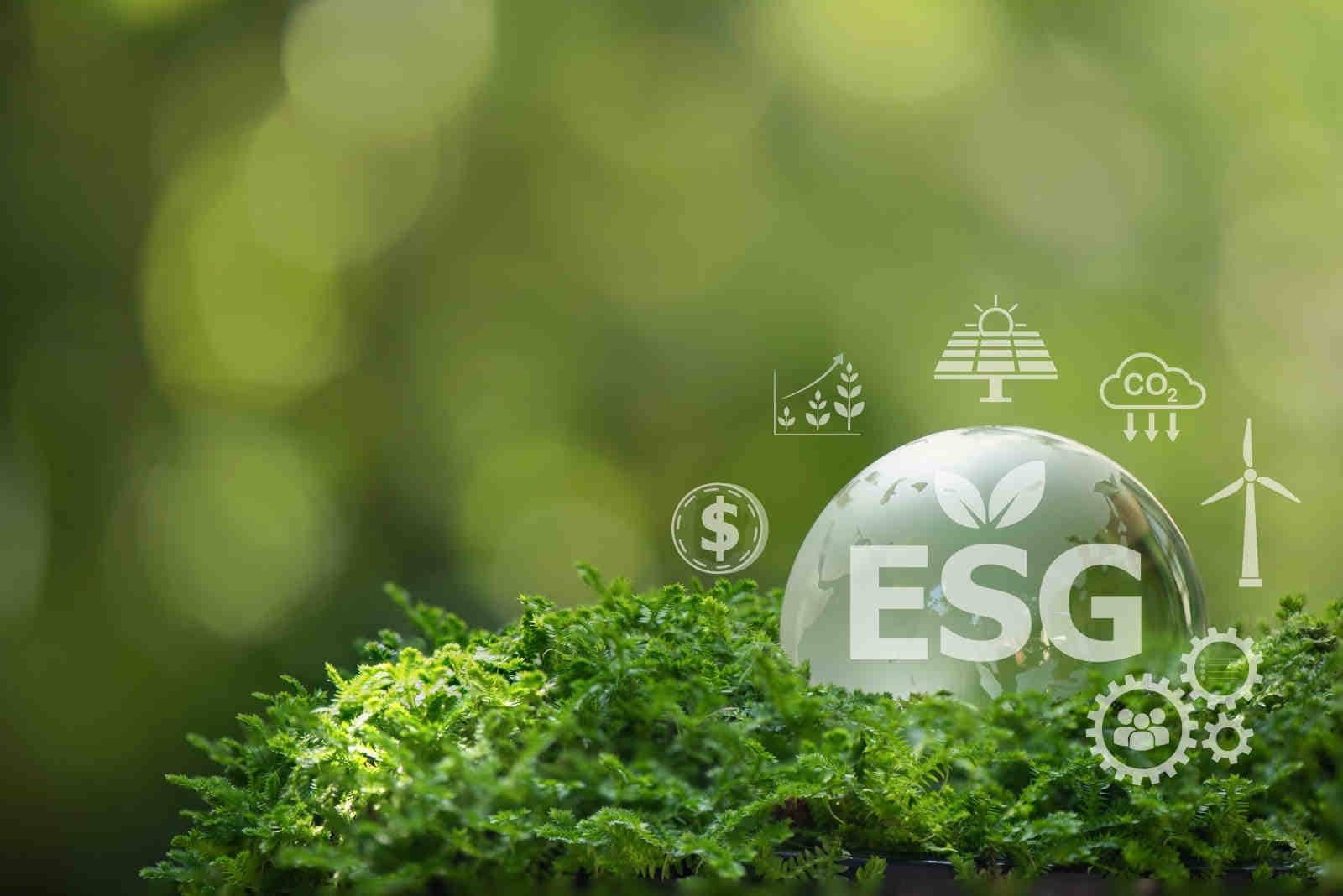 Performance ESG: la situazione dell’Unione Europea