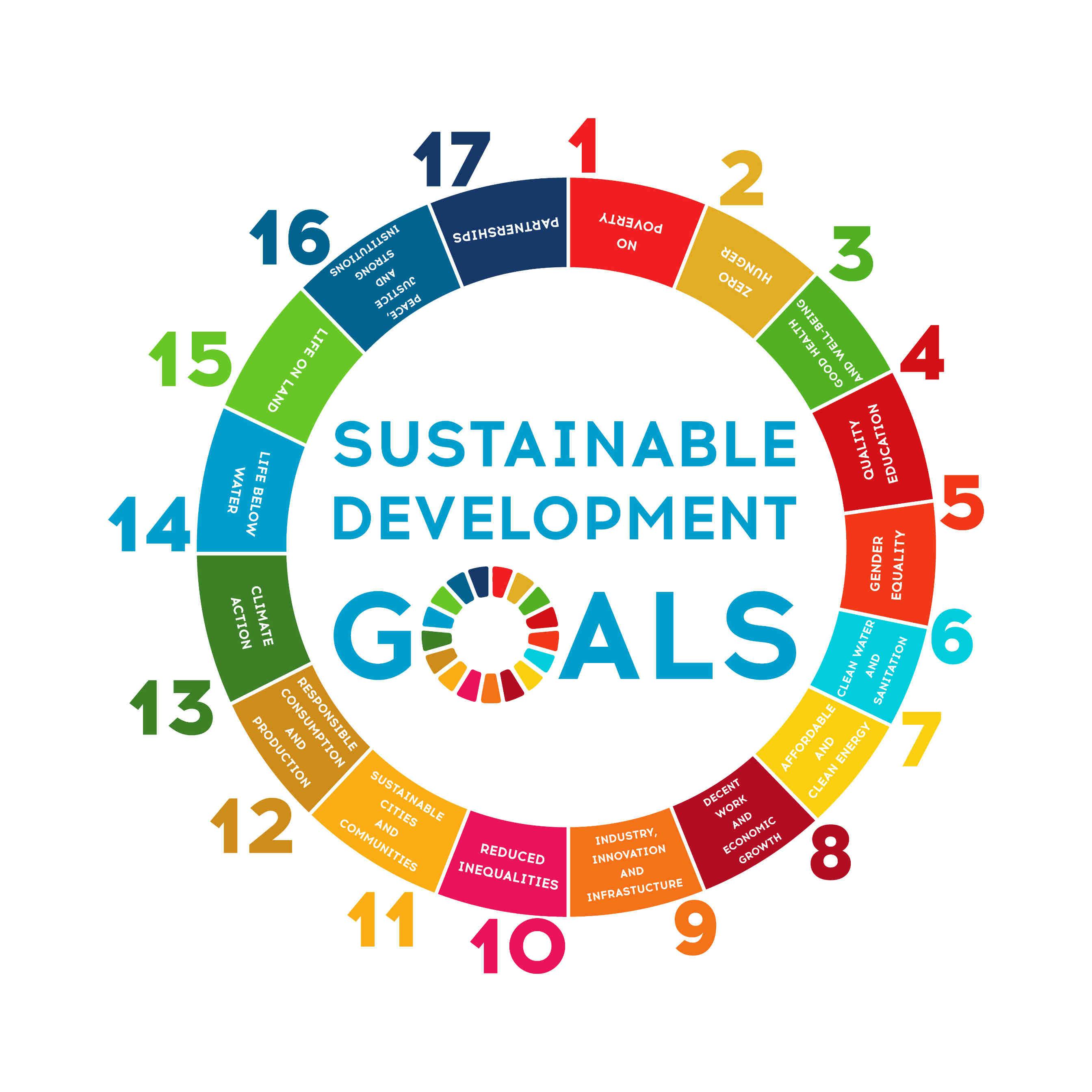 17 Obiettivi SDGs