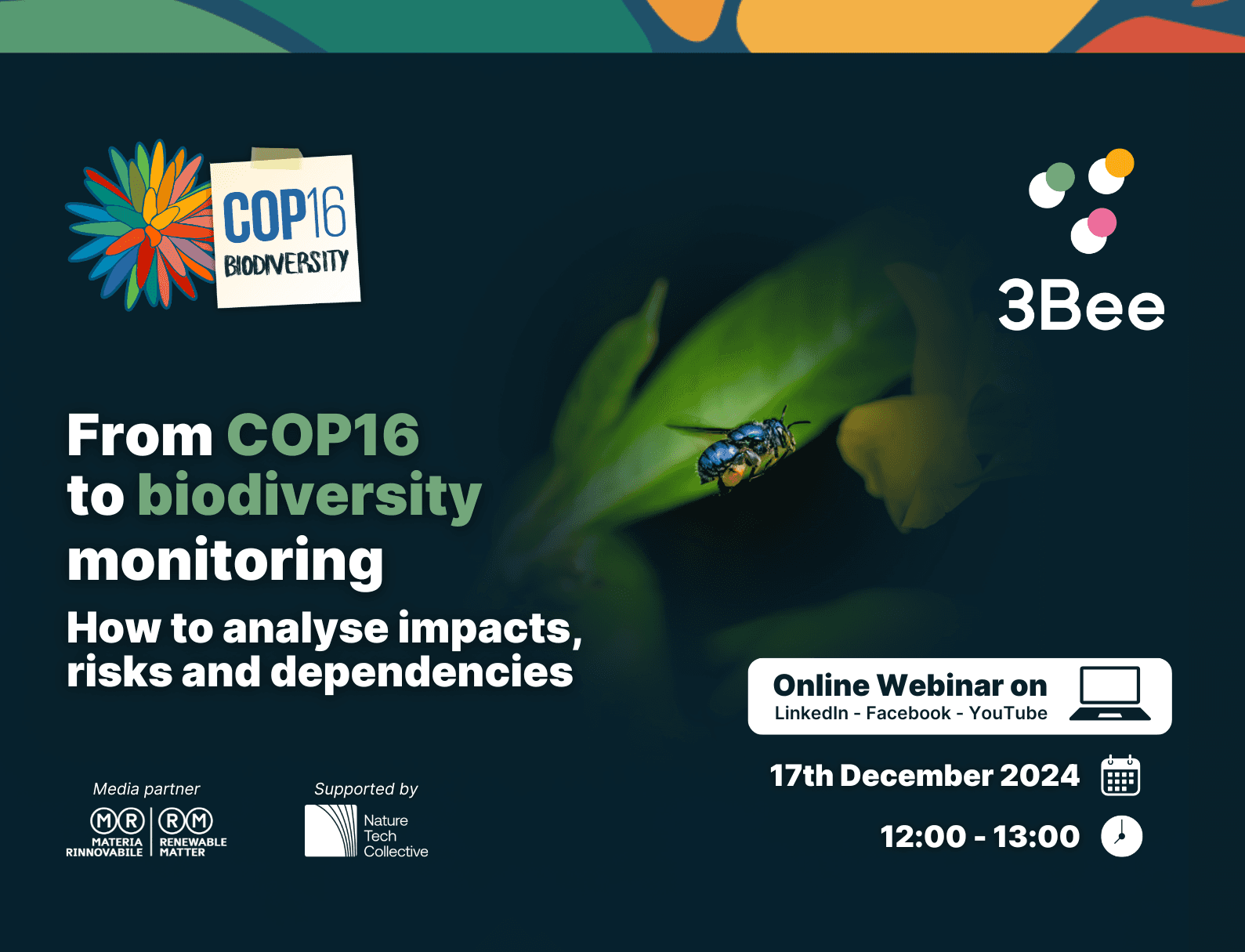 webinar 3bee 17 december