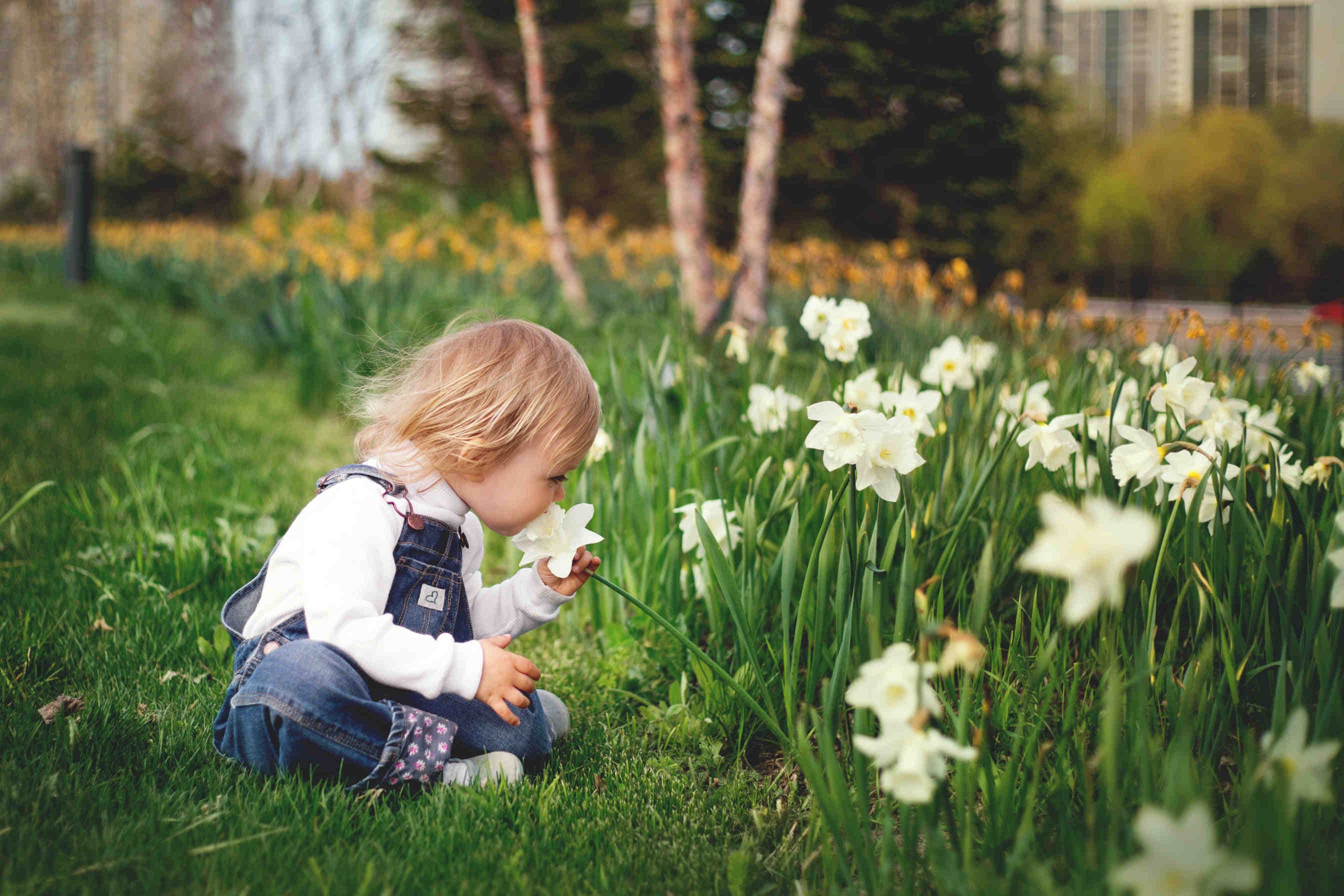 3Bee educare bambini biodiversità