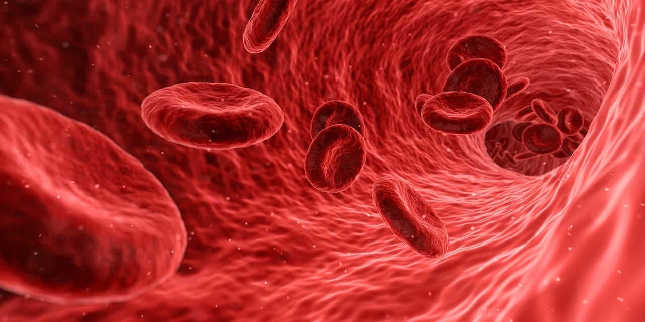 sangue eritrociti ed emoglobina