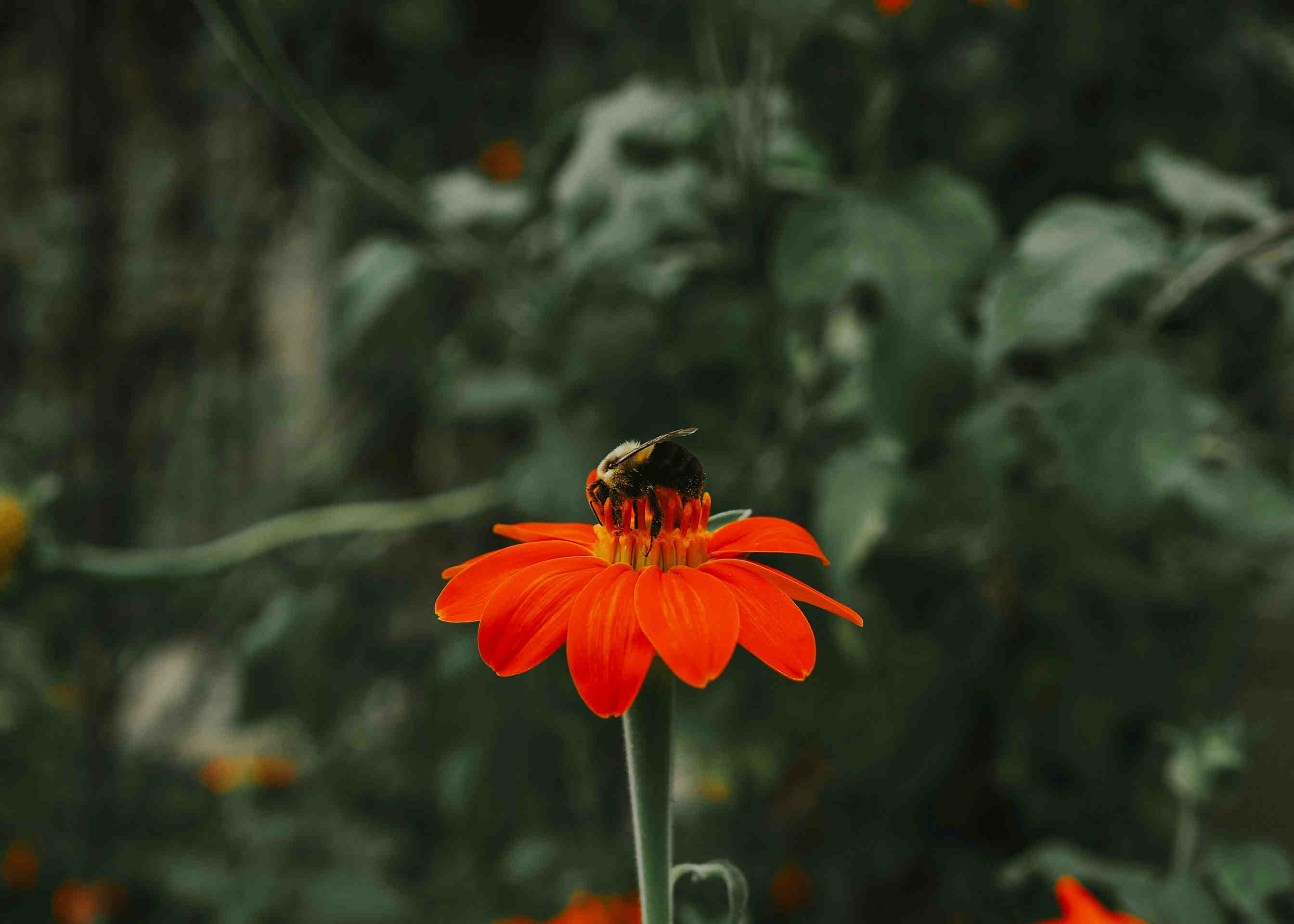 3bee-blog-cosa-e-la-UNI-PdR-179-2025