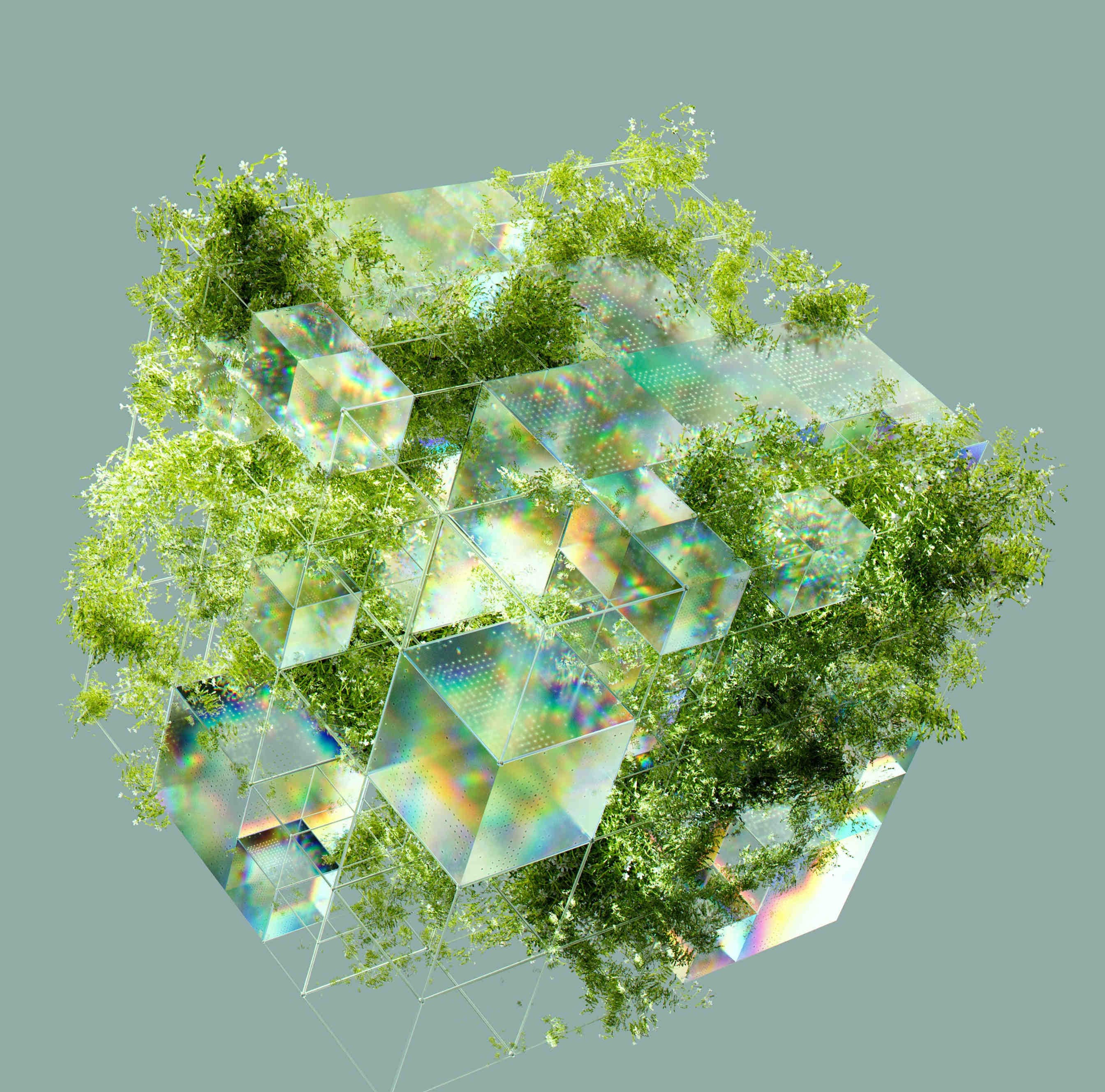 Green Deal e la Strategia Europea sulla Biodiversità