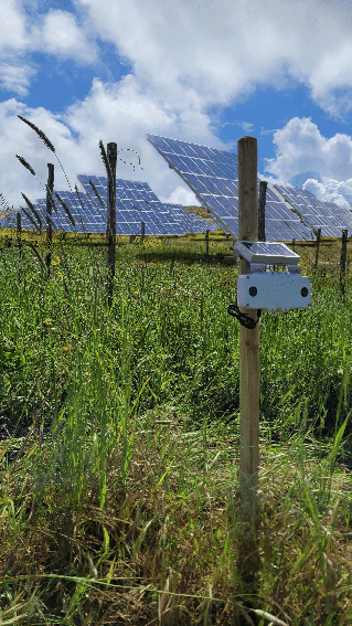 Spectrum 3Bee Photovoltaik