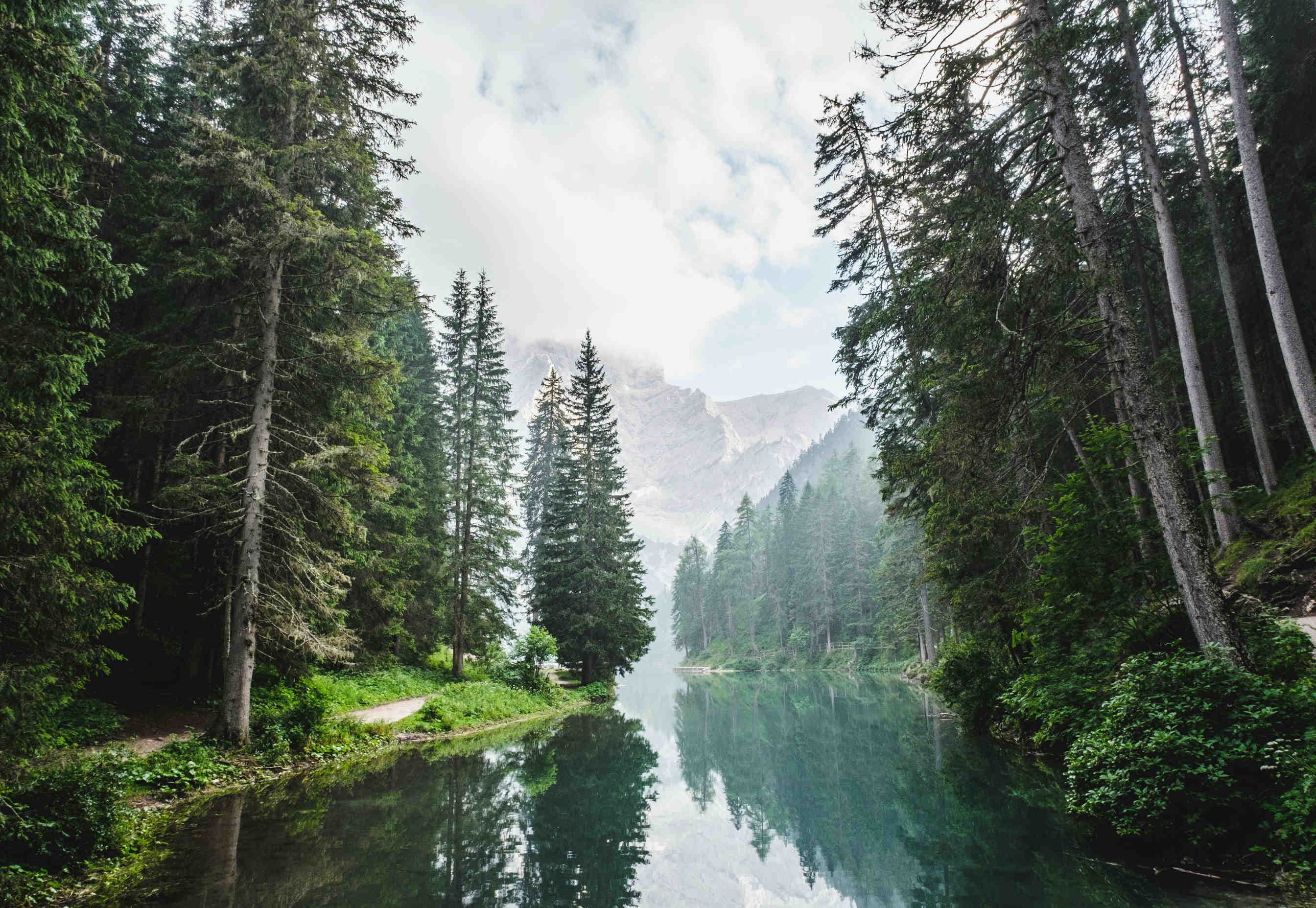 lago