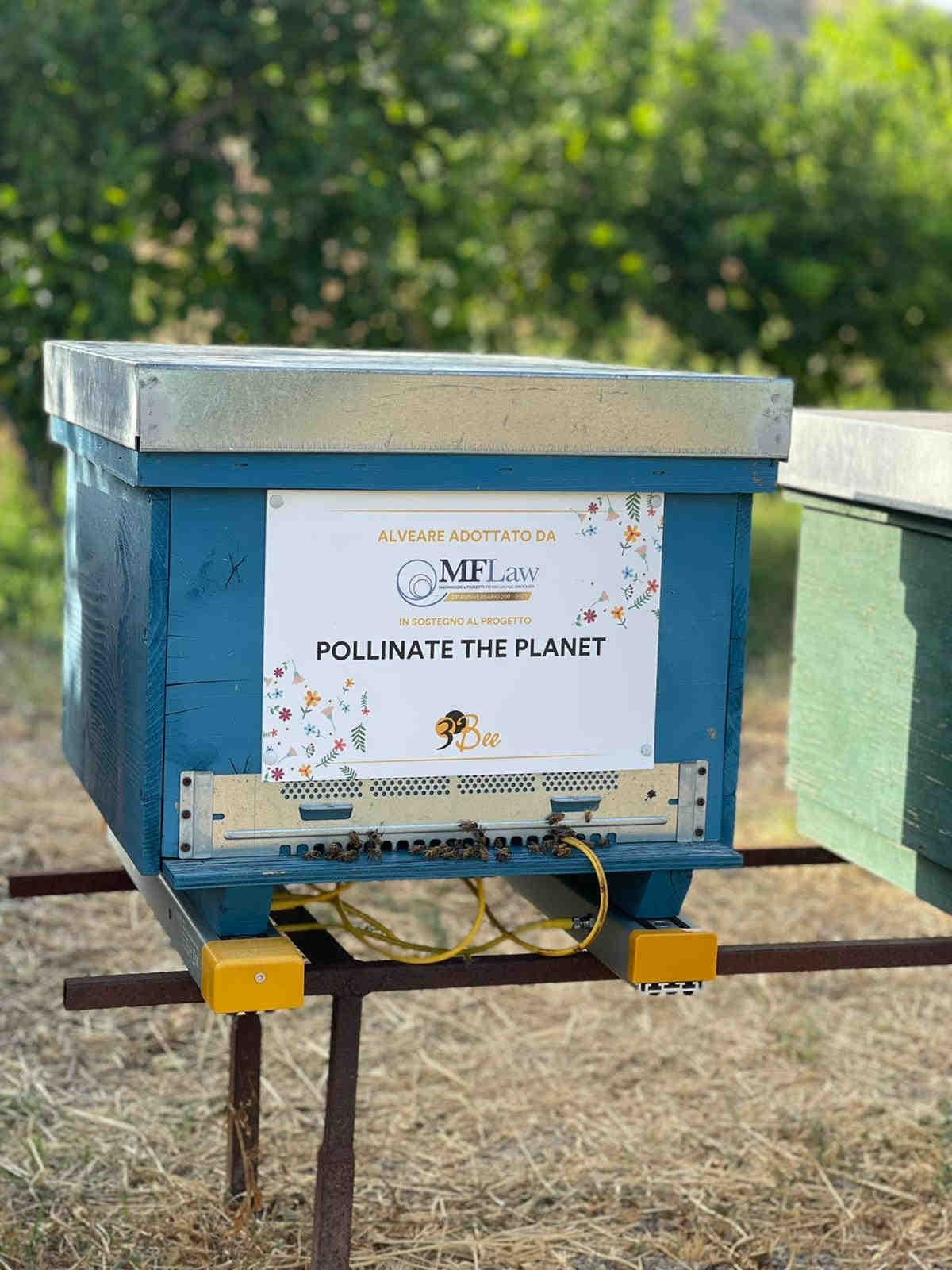 MFLaw raddoppia il suo impegno verso la sostenibilità