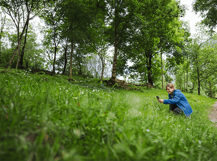 3Bee auf Tournee mit der Biodiversa-App auf Outdoor-Festivals