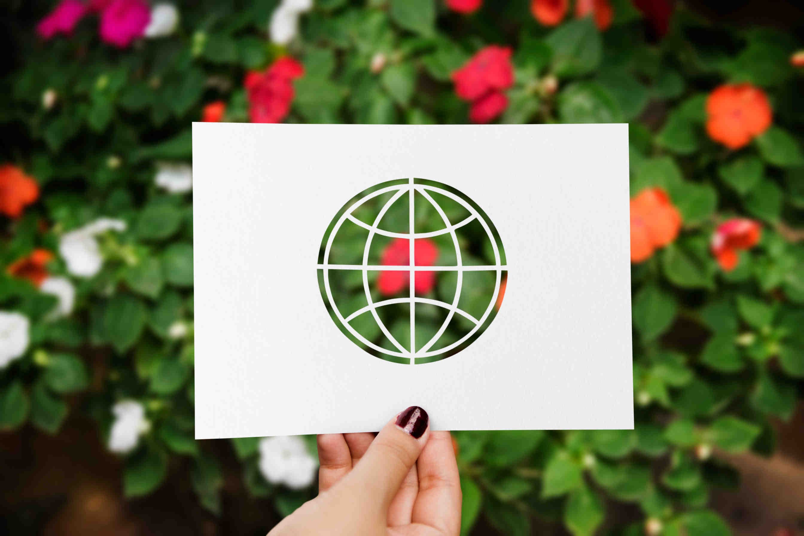 Green trademark: measuring sustainability through trademarks