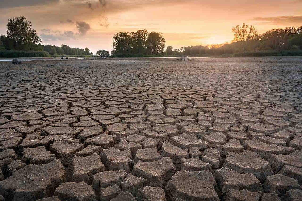 Désertification : causes et impacts mondiaux