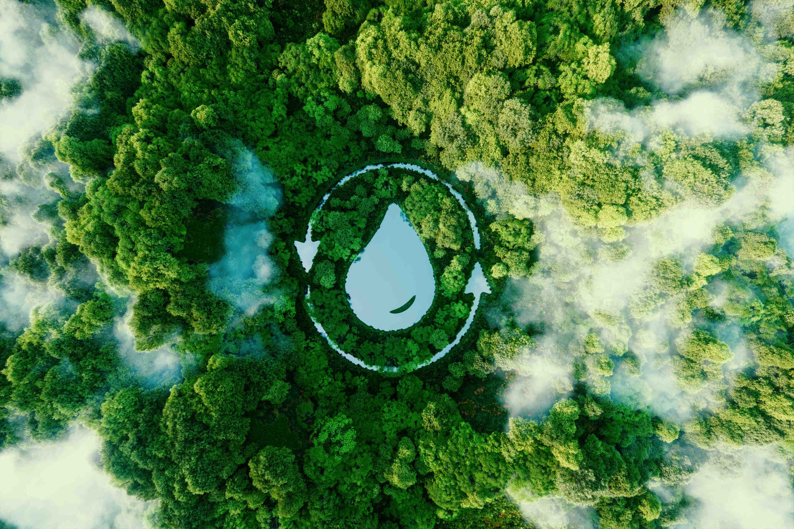 Sostenibilità d'impresa: comunicare "green" senza "washing"