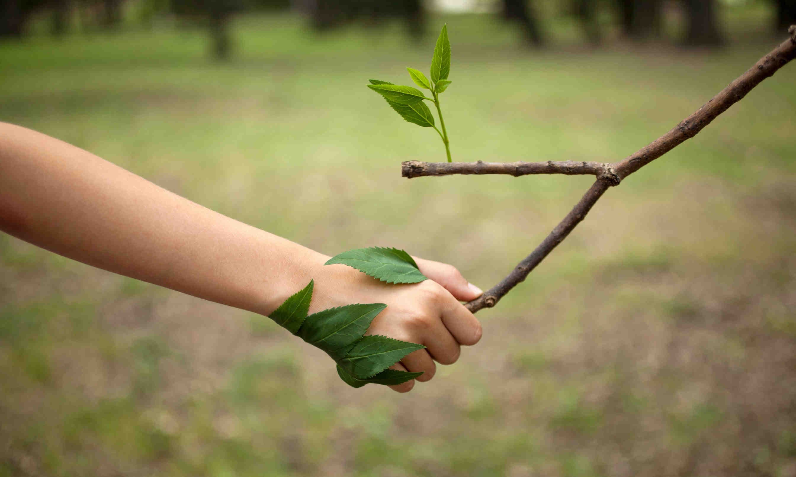 Biodiversity Day 2023
