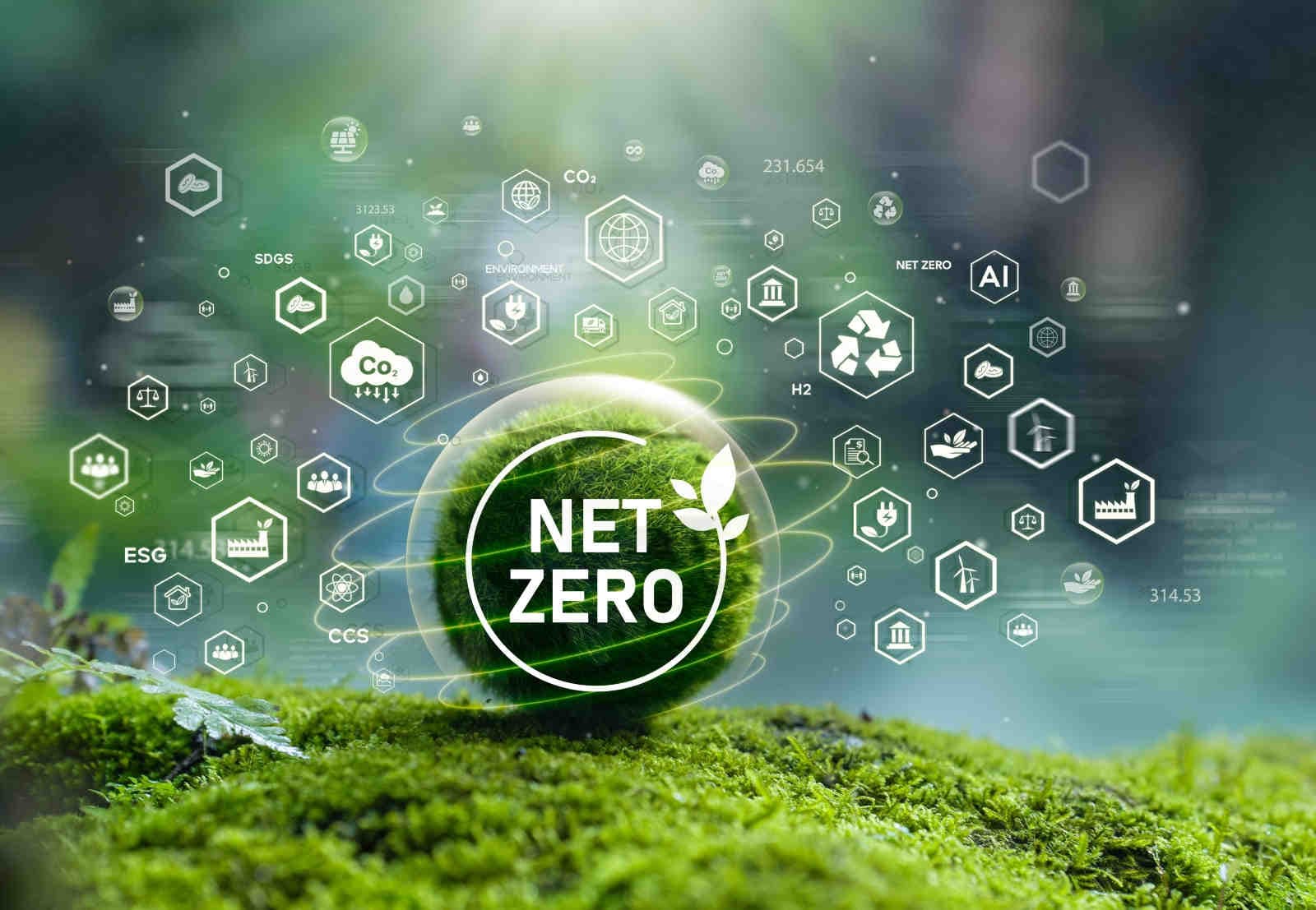 Clima e aziende: progressi e sfide verso il net zero