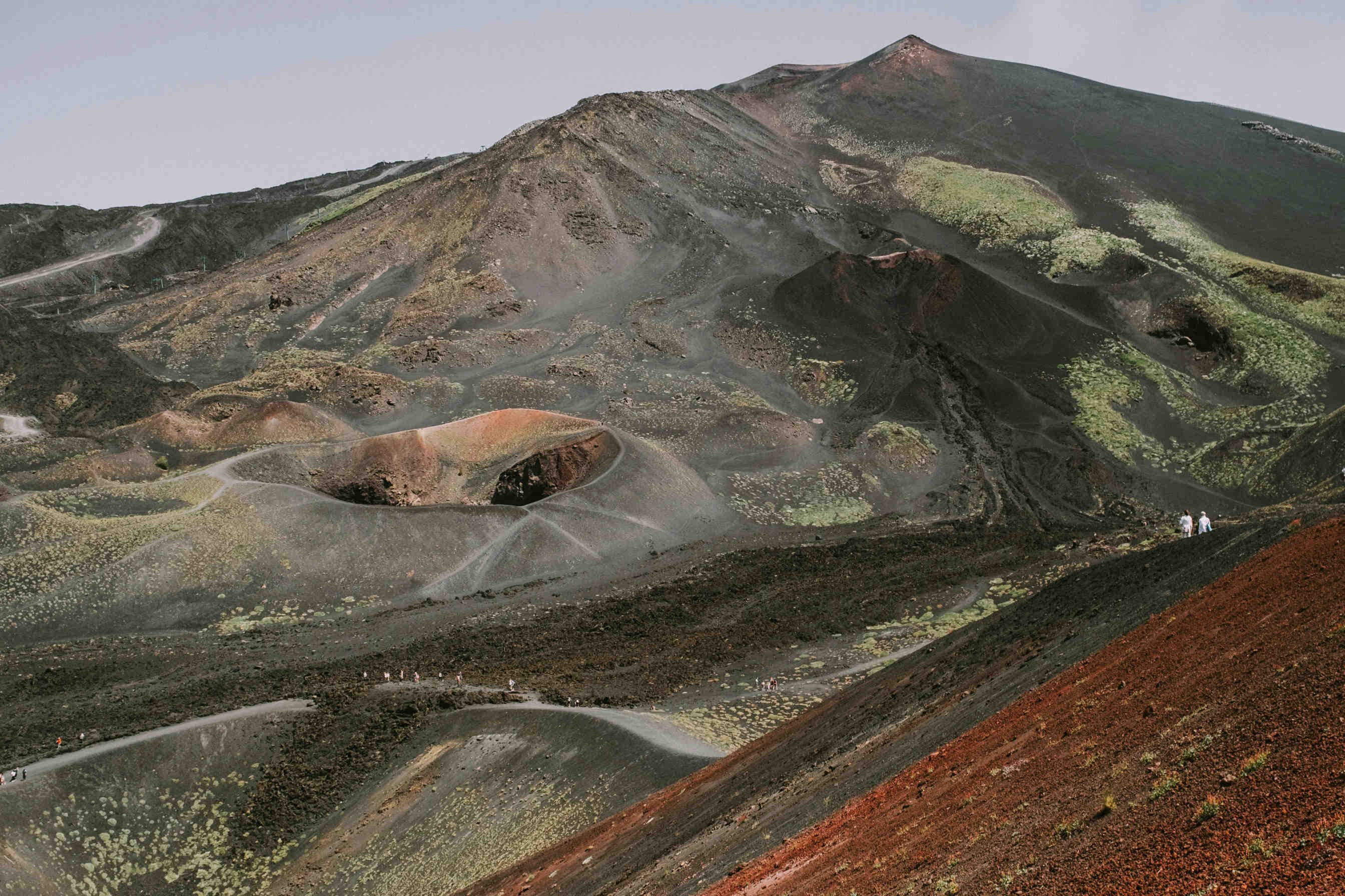 3bee-blog-il-ruolo-ecologico-della-saponaria-Etna
