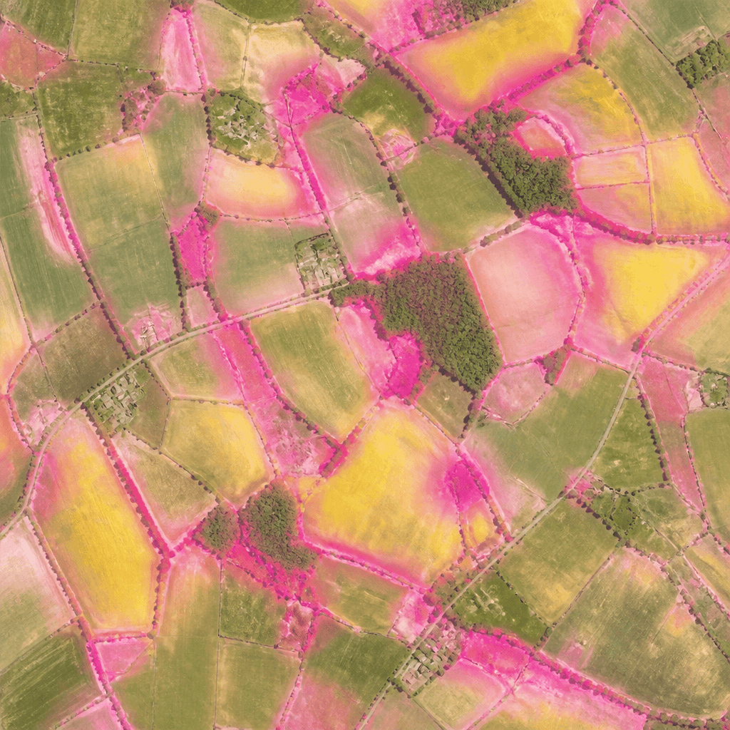 Layer Copernicus: 80+ data sets, interactive maps and AI reports