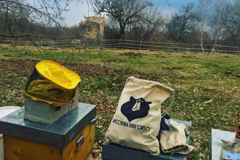 Apiculture de l'ours