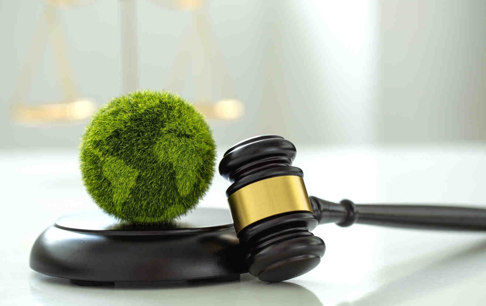 Semplificazione normativa e rischio ESG