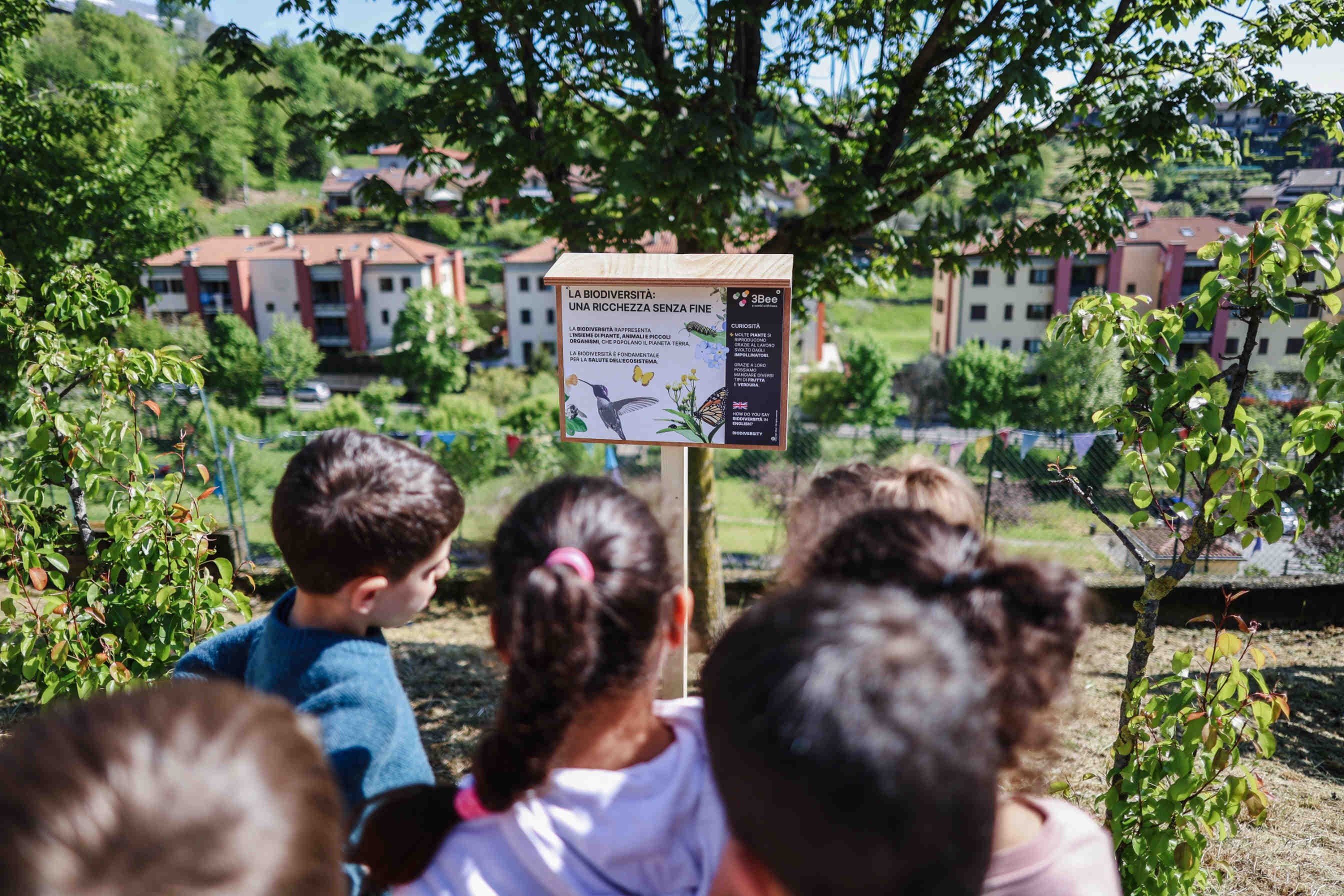 3bee-blog-giovani-e-co-creazione-dei-sistemi-educativi