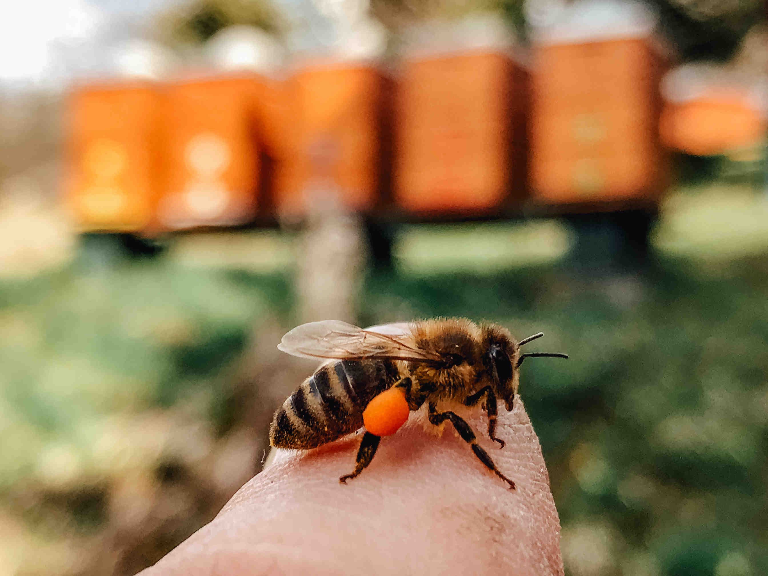 La filosofia di Jobcode: "Siamo parte della natura"