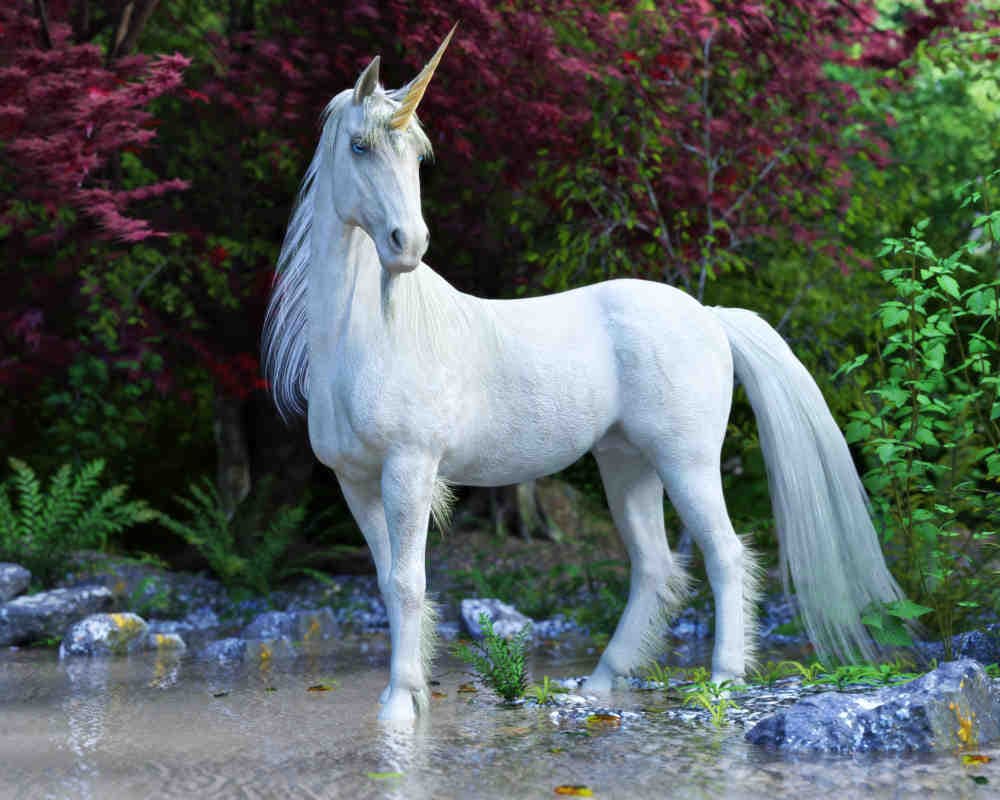 Come diventare un Climate Unicorn, modello per le aziende
