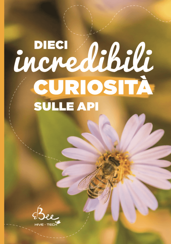 Zehn unglaubliche Fakten über Bienen von 3Bee