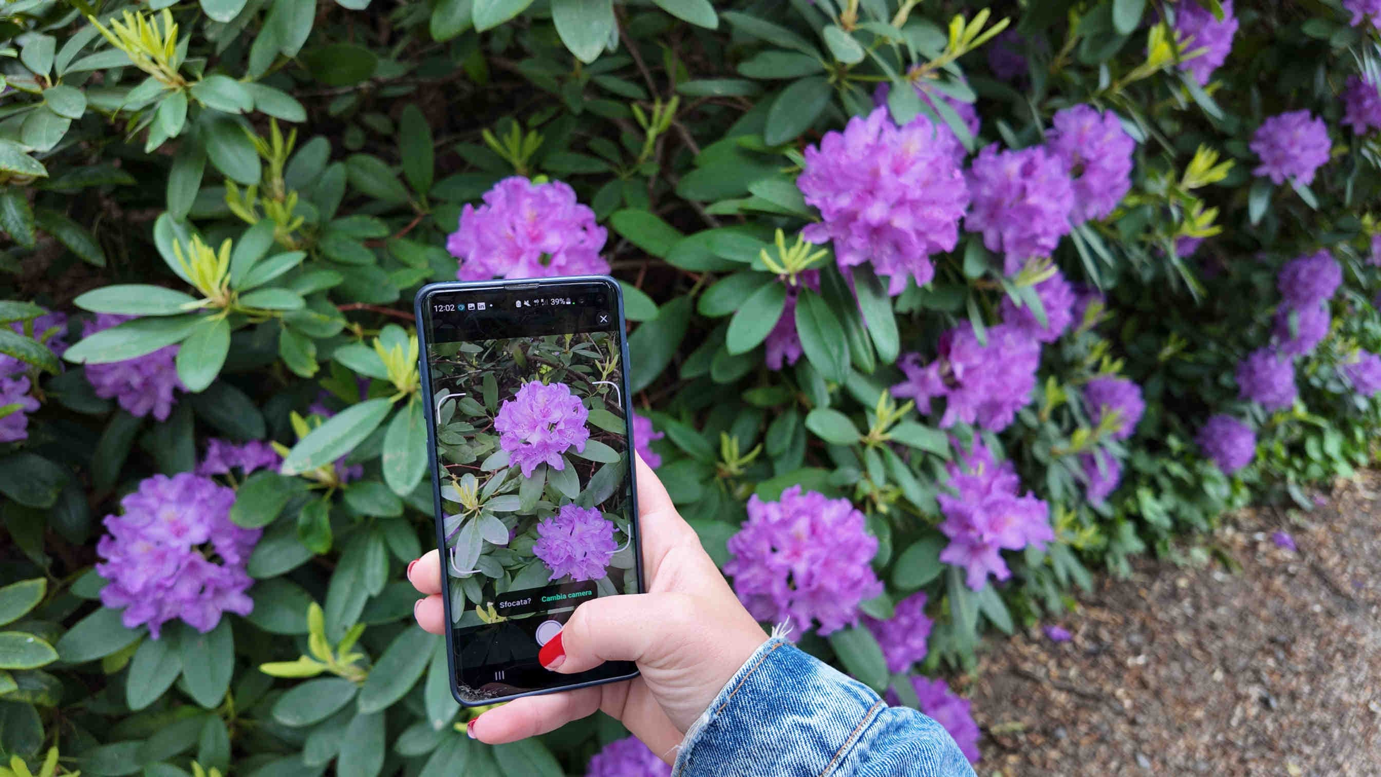 biodiversa app