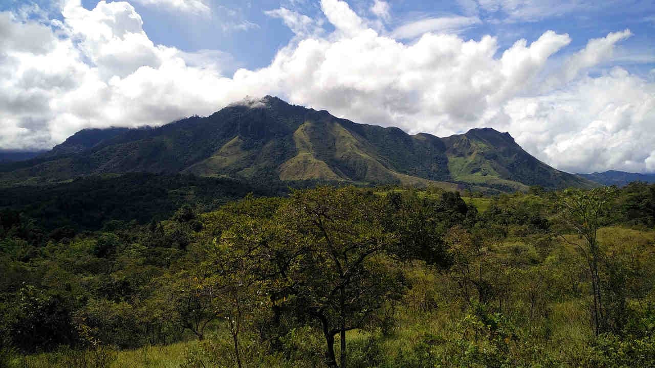 Sulawesi