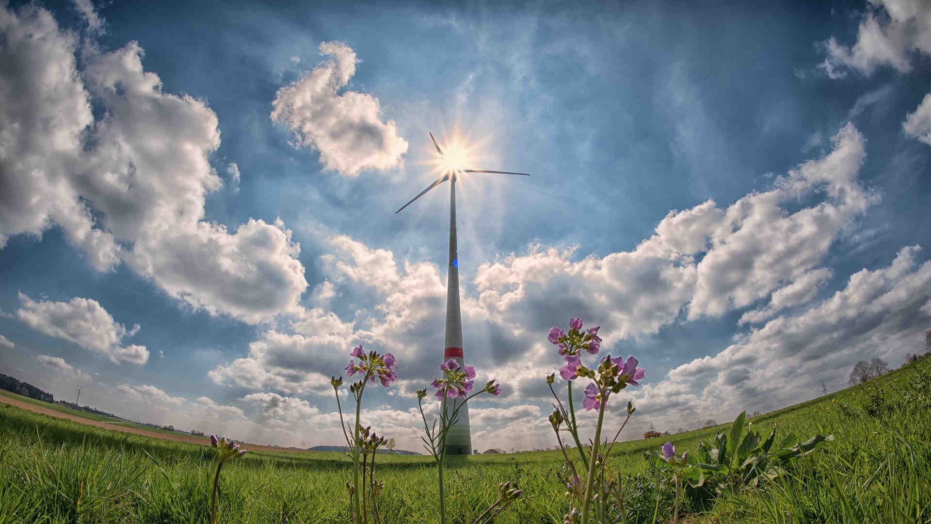 energie rinnovabili