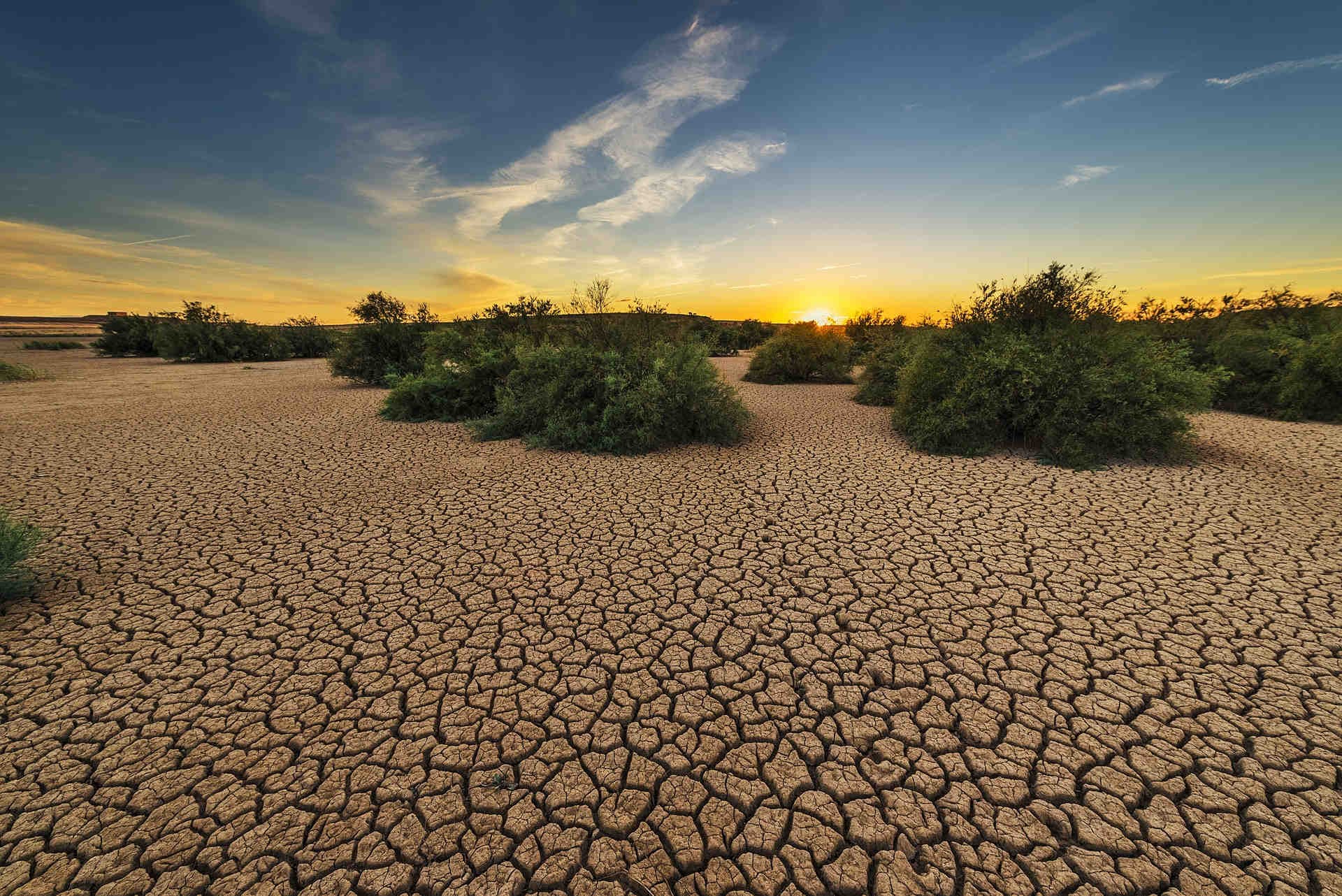 Anpassung an den Klimawandel