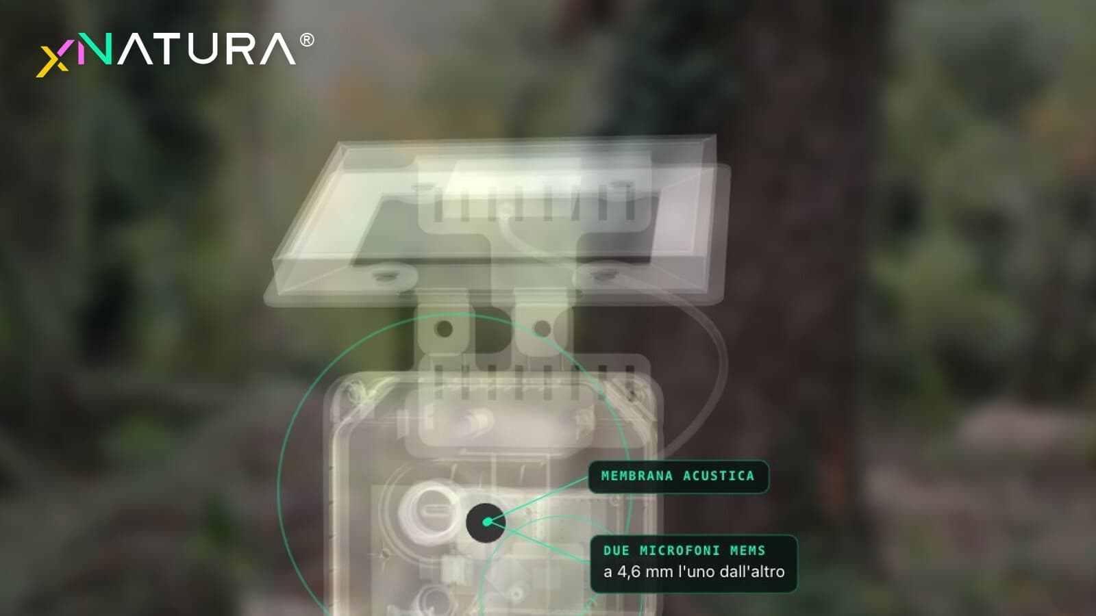 Il sensore Birdy di XNatura in 3D: i due microfoni MEMS dietro la membrana acustica