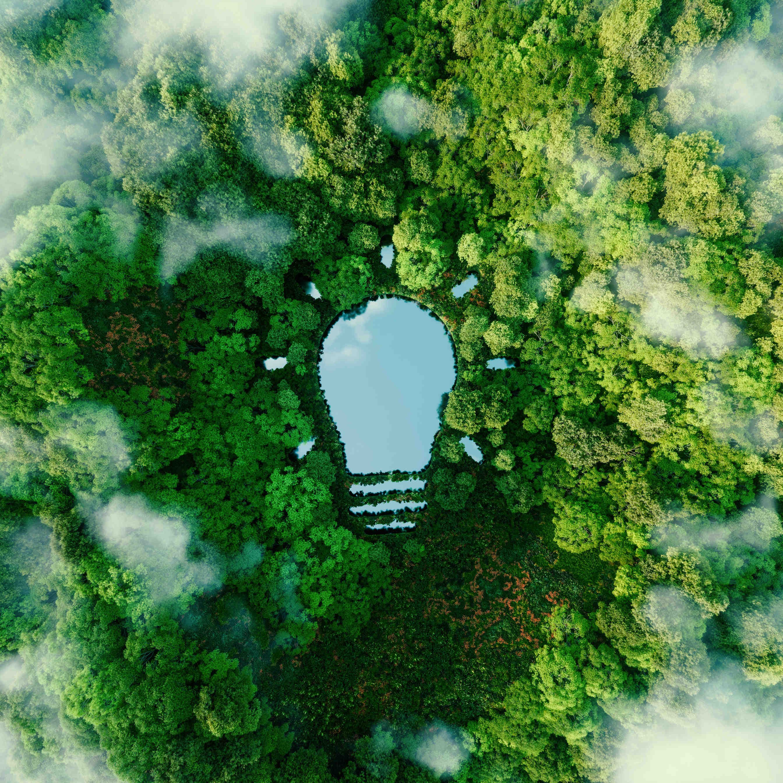 Havas: un approccio educativo alla biodiversità
