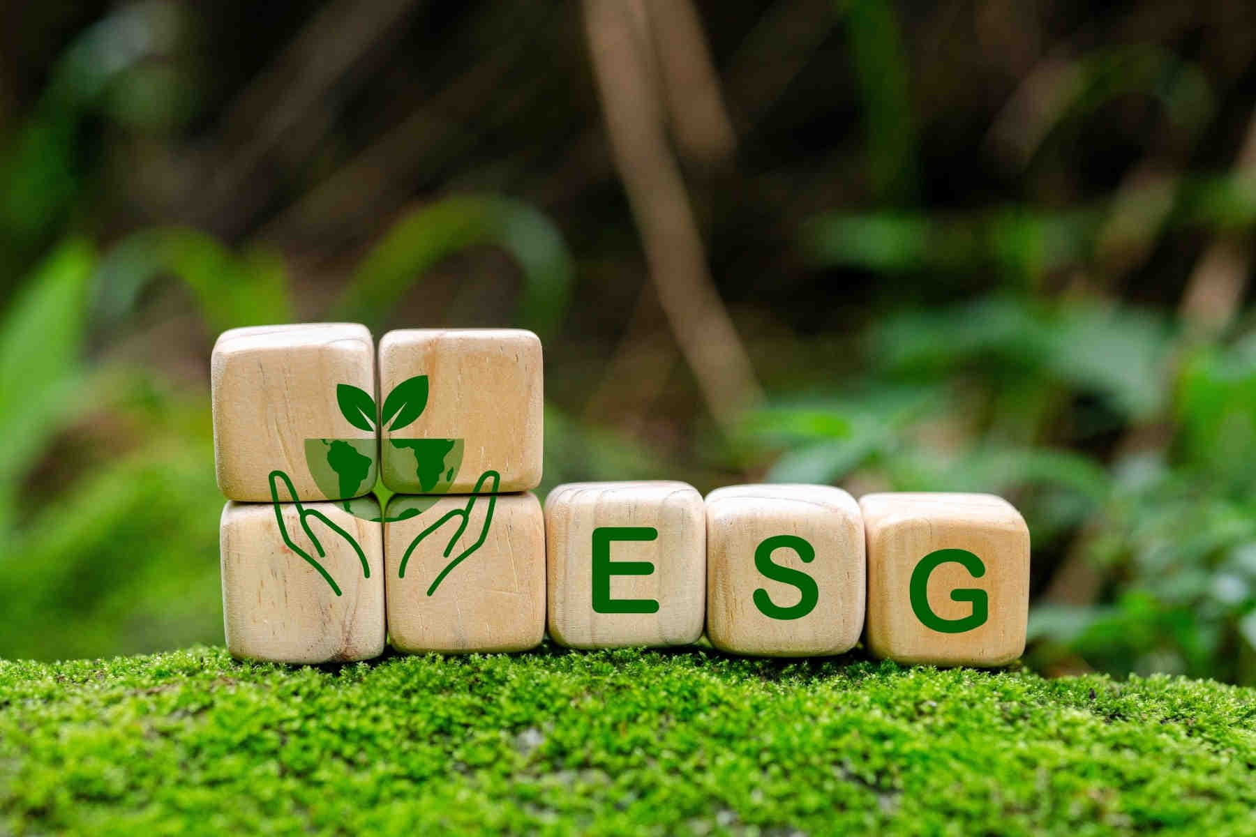 ESG rating: meglio provider pubblici o privati per valutare l’ambiente?