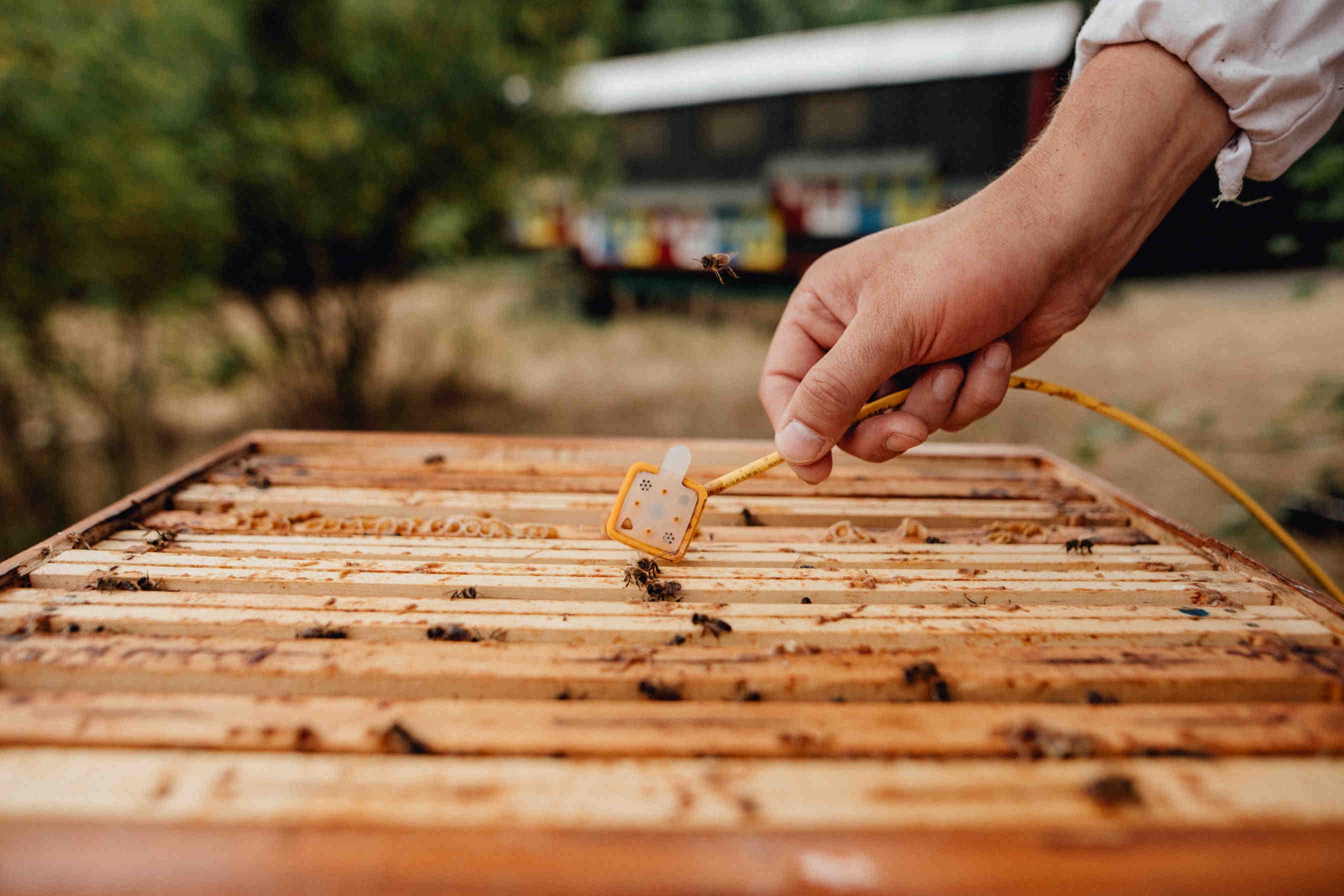 3Bee Hive-Tech