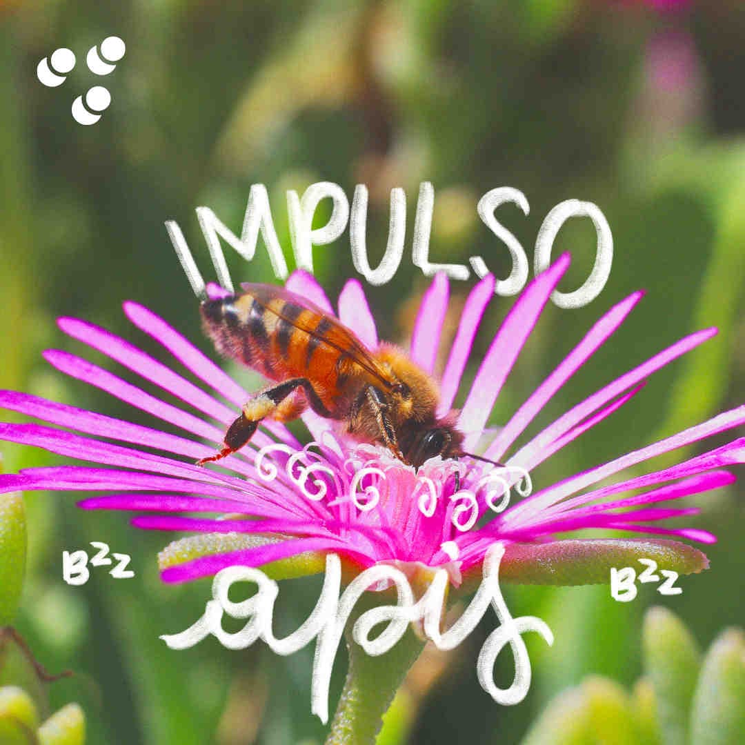 Impulso Apis - Apis Mellifera