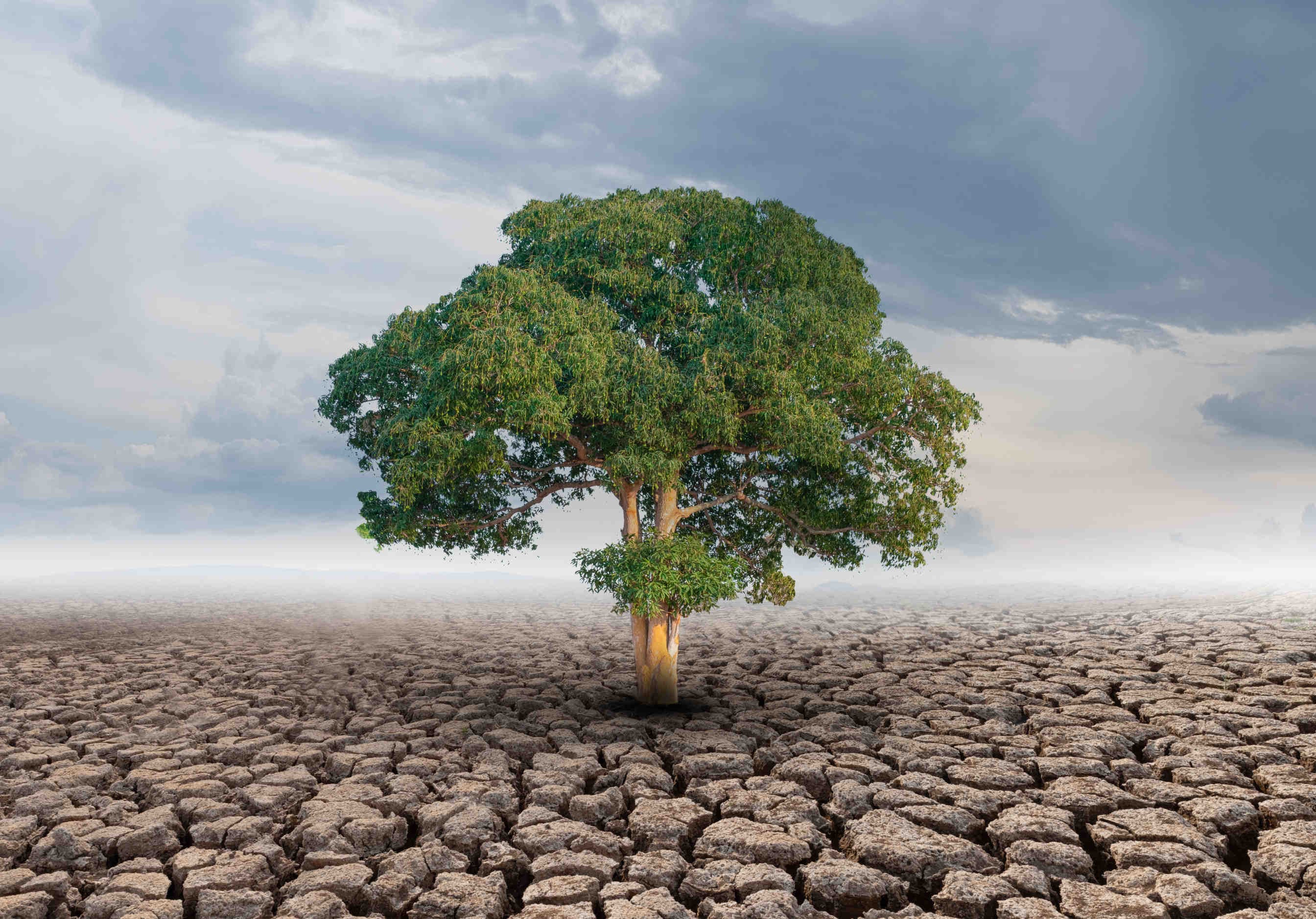 Agenda 2030 e cambiamento climatico