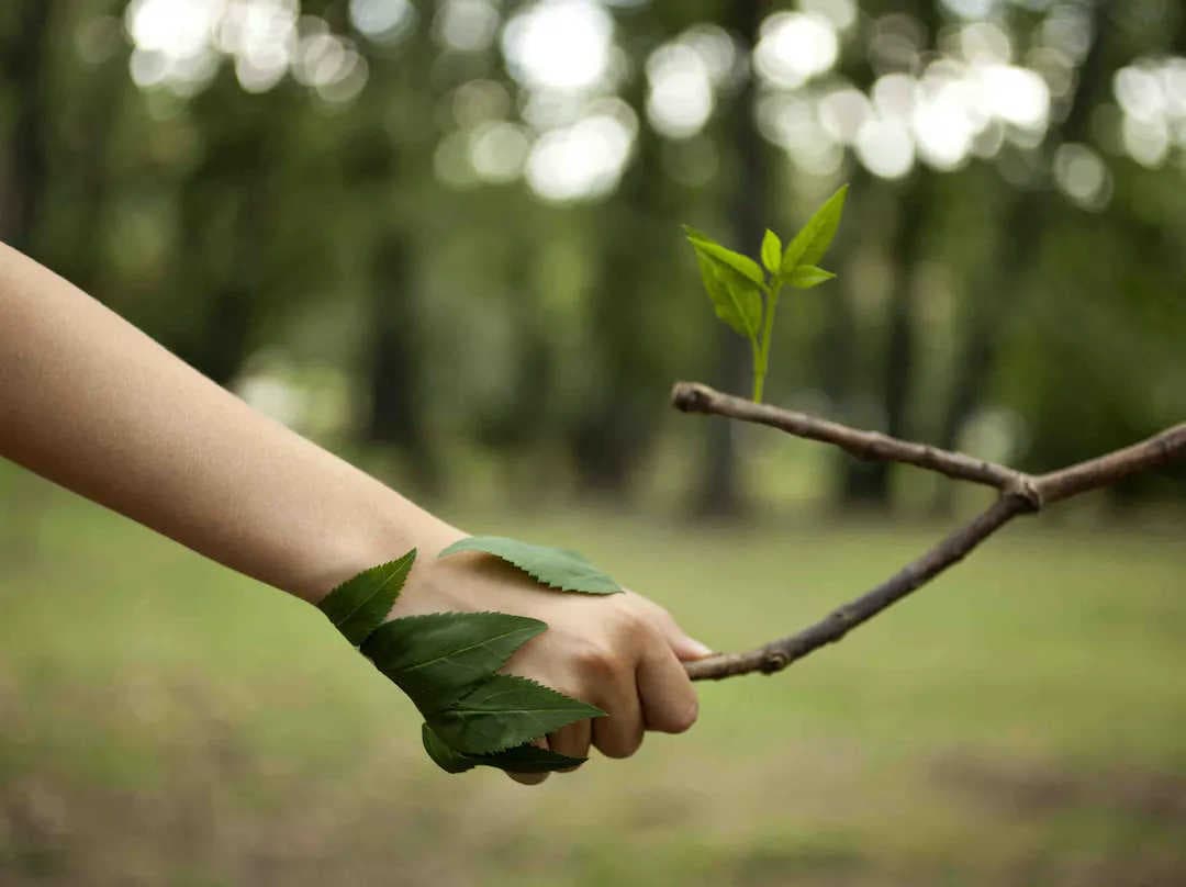 Pourquoi préserver la biodiversité ?