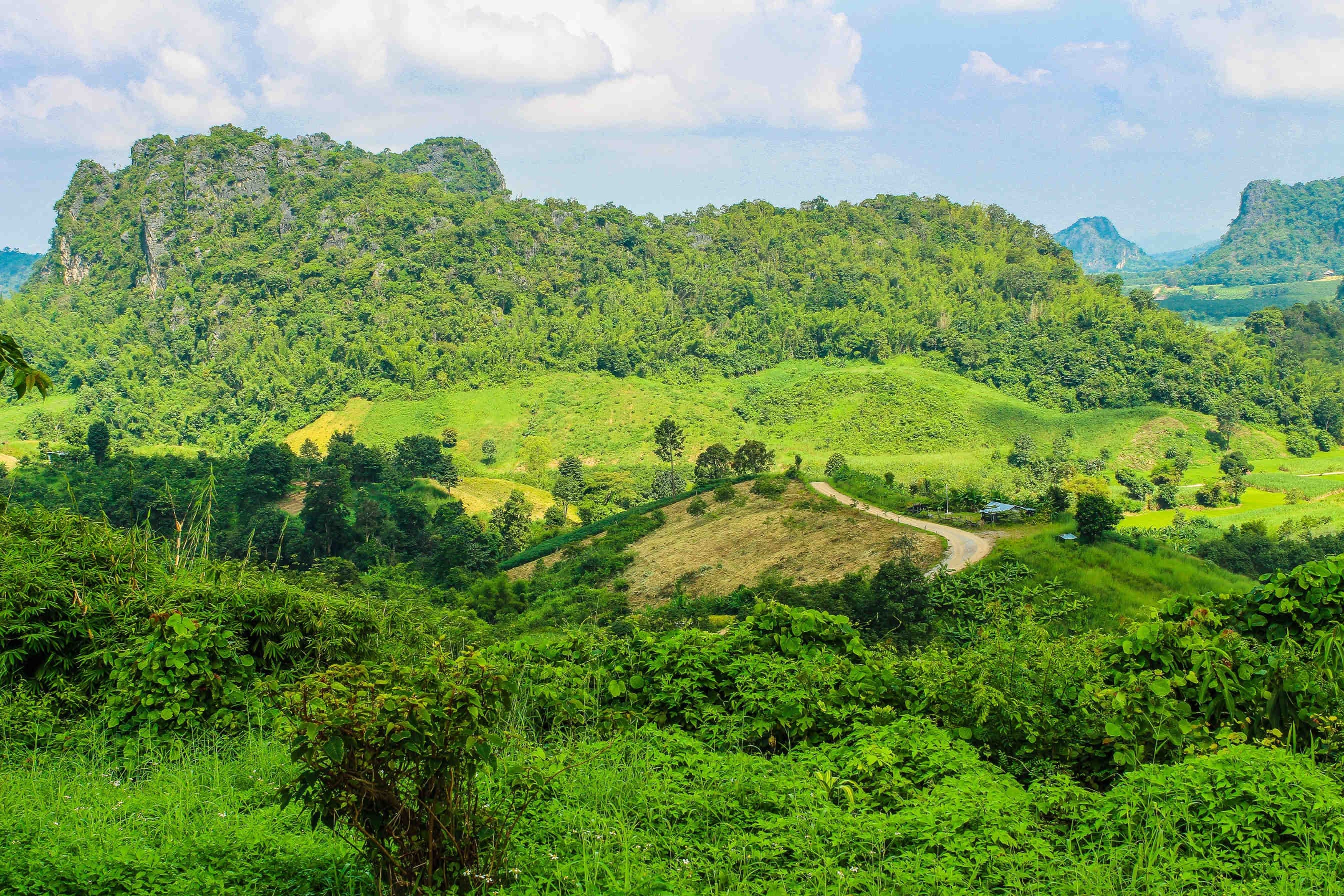 World Habitat Day 2023