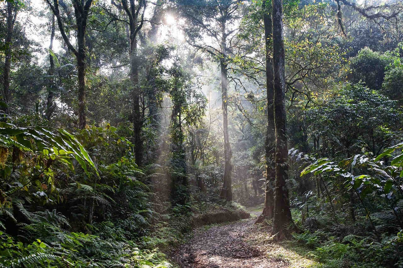 calo della biodiversità nelle aree protette